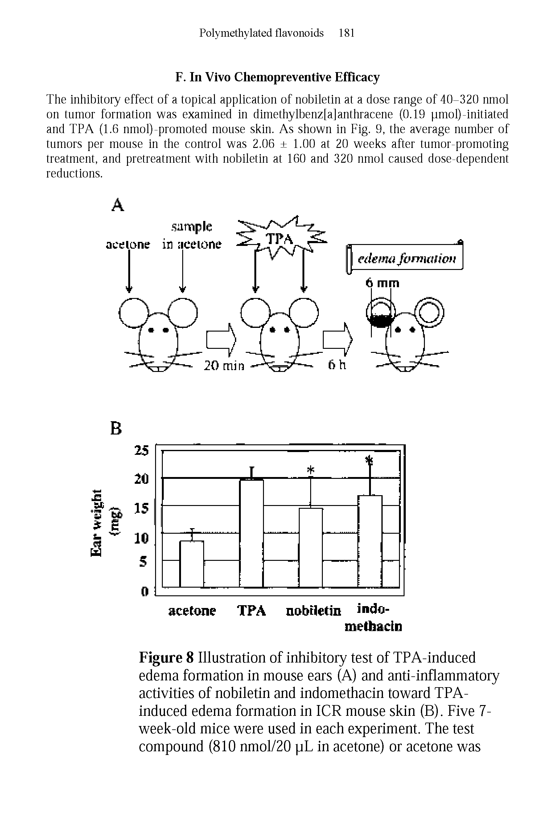 Figure 8 Illustration of inhibitory test of TPA-induced edema formation in mouse ears (A) and anti-inflammatory activities of nobiletin and indomethacin toward TPA-induced edema formation in ICR mouse skin (B). Five 7-week-old mice were used in each experiment. The test compound (810 nmol/20 pL in acetone) or acetone was...