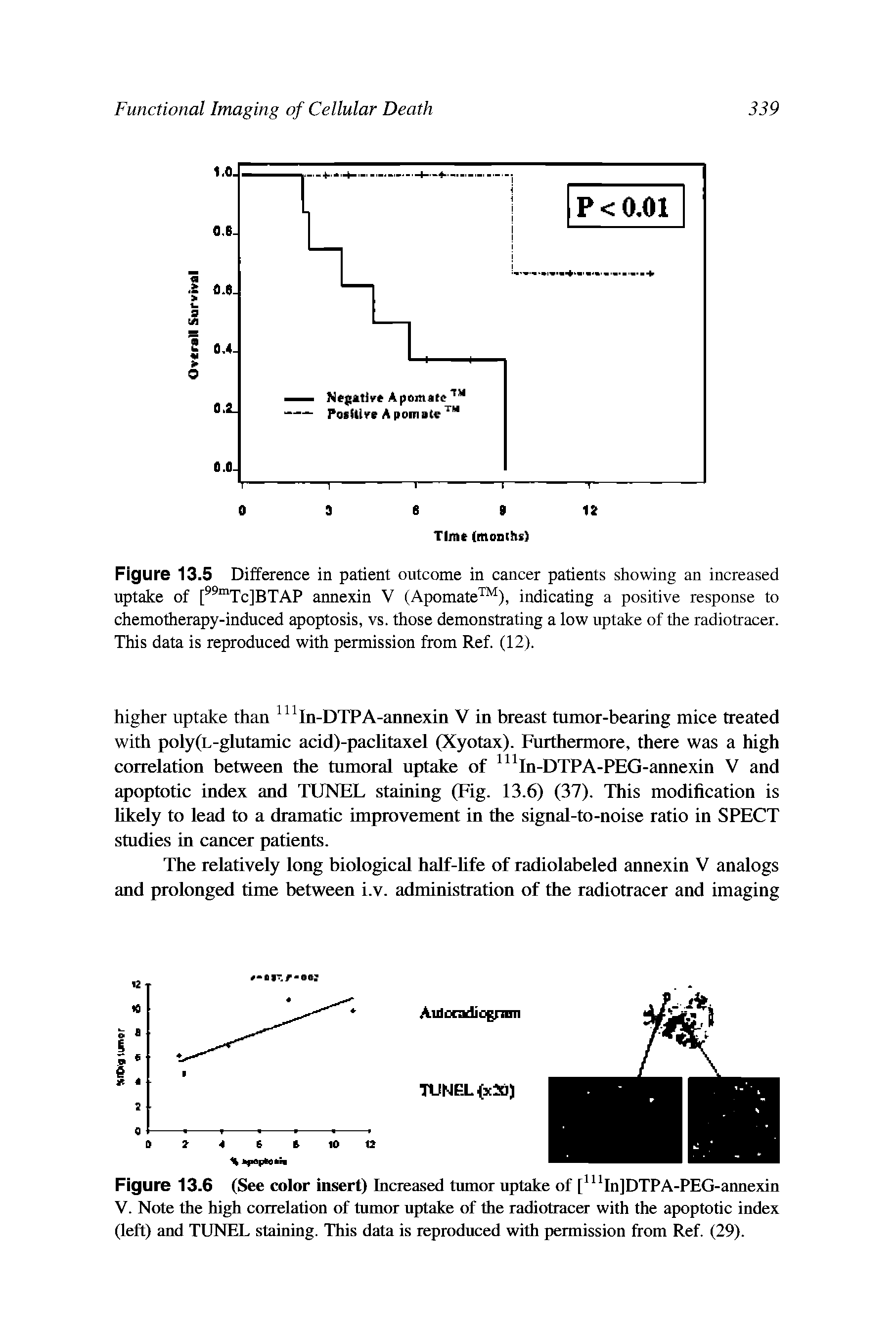 Figure 13.5 Difference in patient outcome in cancer patients showing an increased uptake of [ "TcJBTAP annexin V (Apomate ), indicating a positive response to chemotherapy-induced apoptosis, vs. those demonstrating a low uptake of the radiotracer. This data is reproduced with permission from Ref. (12).
