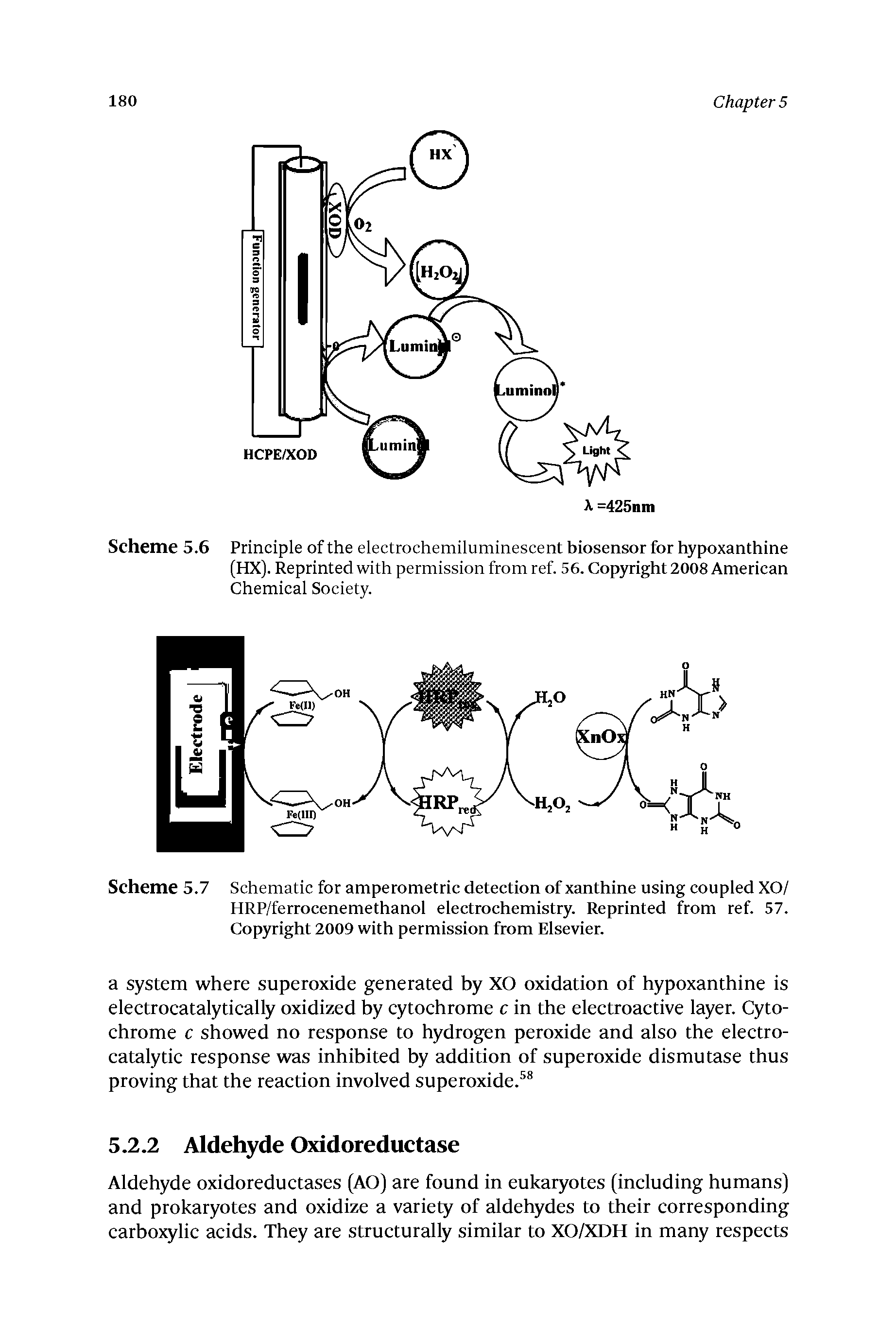 Scheme 5.6 Principle of the electrochemiluminescent biosensor for hypoxanthine (HX). Reprinted with permission from ref. 56. Copyright 2008 American Chemical Society.