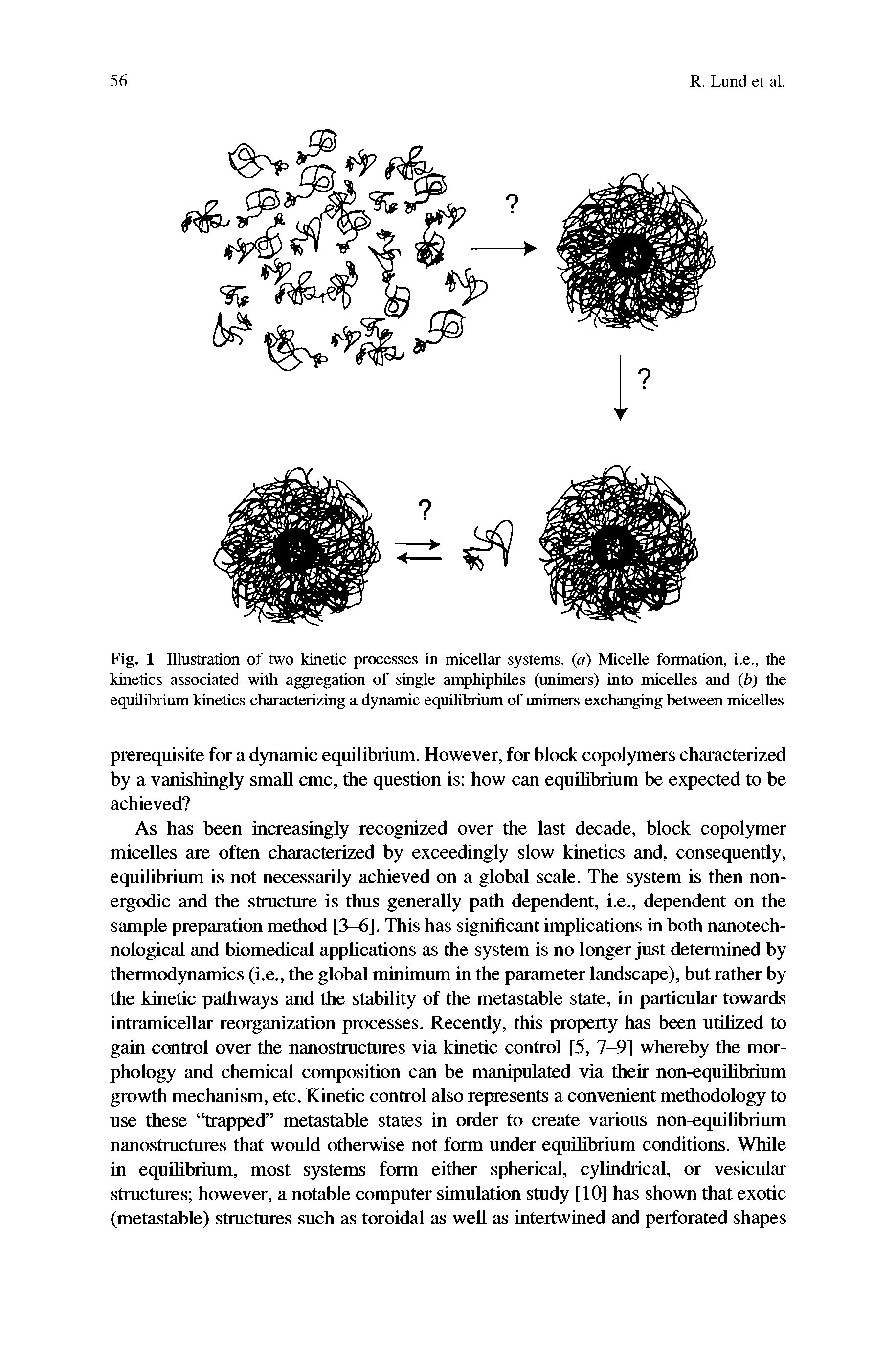 Fig. 1 Illustration of two kinetic processes in micellar systems, (a) Micelle formation, i.e., the kinetics associated with aggregation of single amphiphiles (unimers) into micelles and (i>) the equilibrium kinetics charactiaizing a dynamic equilibrium of unrmcas exchanging between micelles...