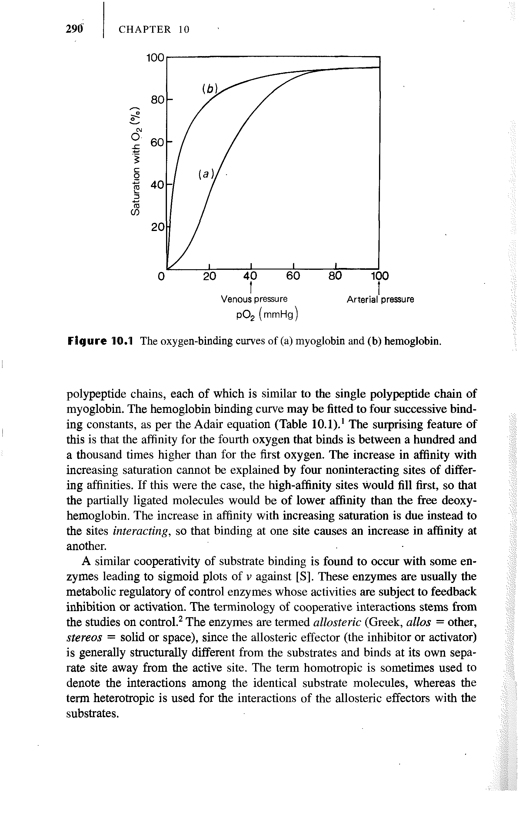 Figure 10.1 The oxygen-binding curves of (a) myoglobin and (b) hemoglobin.