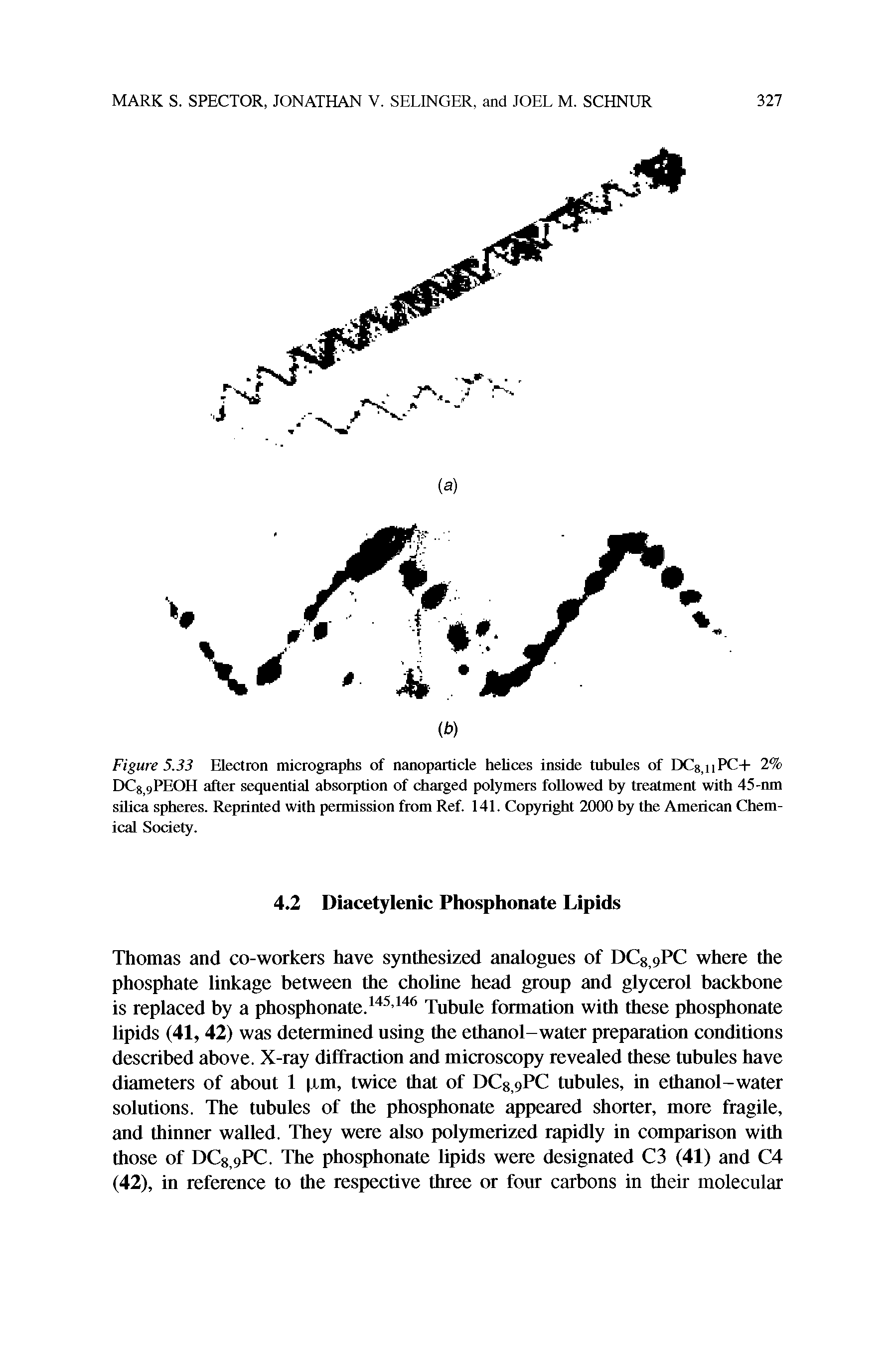 Figure 5.33 Electron micrographs of nanoparticle helices inside tubules of DC8,nPC+ 2% DCgj9PEOH after sequential absorption of charged polymers followed by treatment with 45-nm silica spheres. Reprinted with permission from Ref. 141. Copyright 2000 by the American Chemical Society.