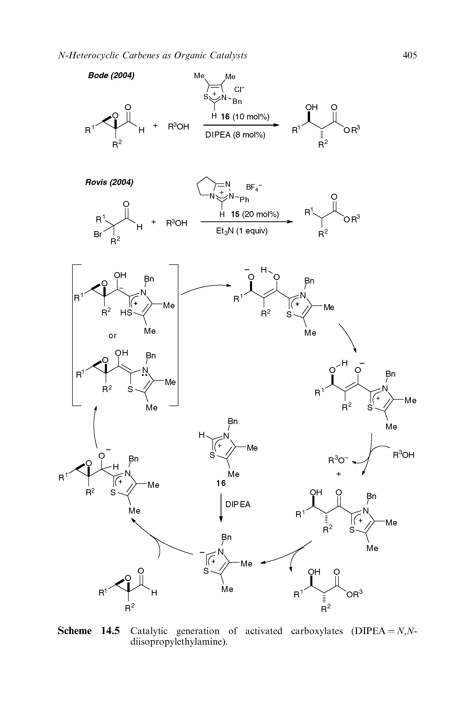 Scheme 14.5 Catalytic generation of activated carboxylates (DIPEA = A, Af-diisopropylethylamine).