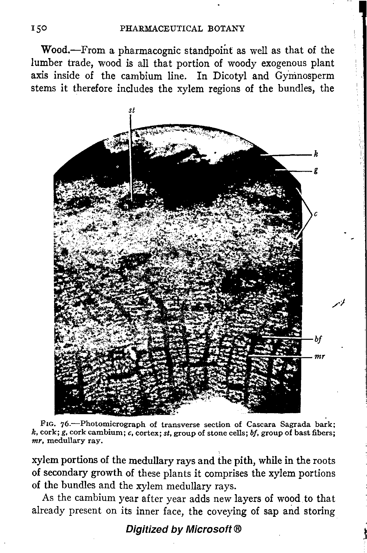 Fig. 76.—Photomicrograph of transverse section of Cascara Sagrada bark k, cork g, cork cambium c, cortex st, group of stone cells bf, group of bast fibers mr, medullary ray.