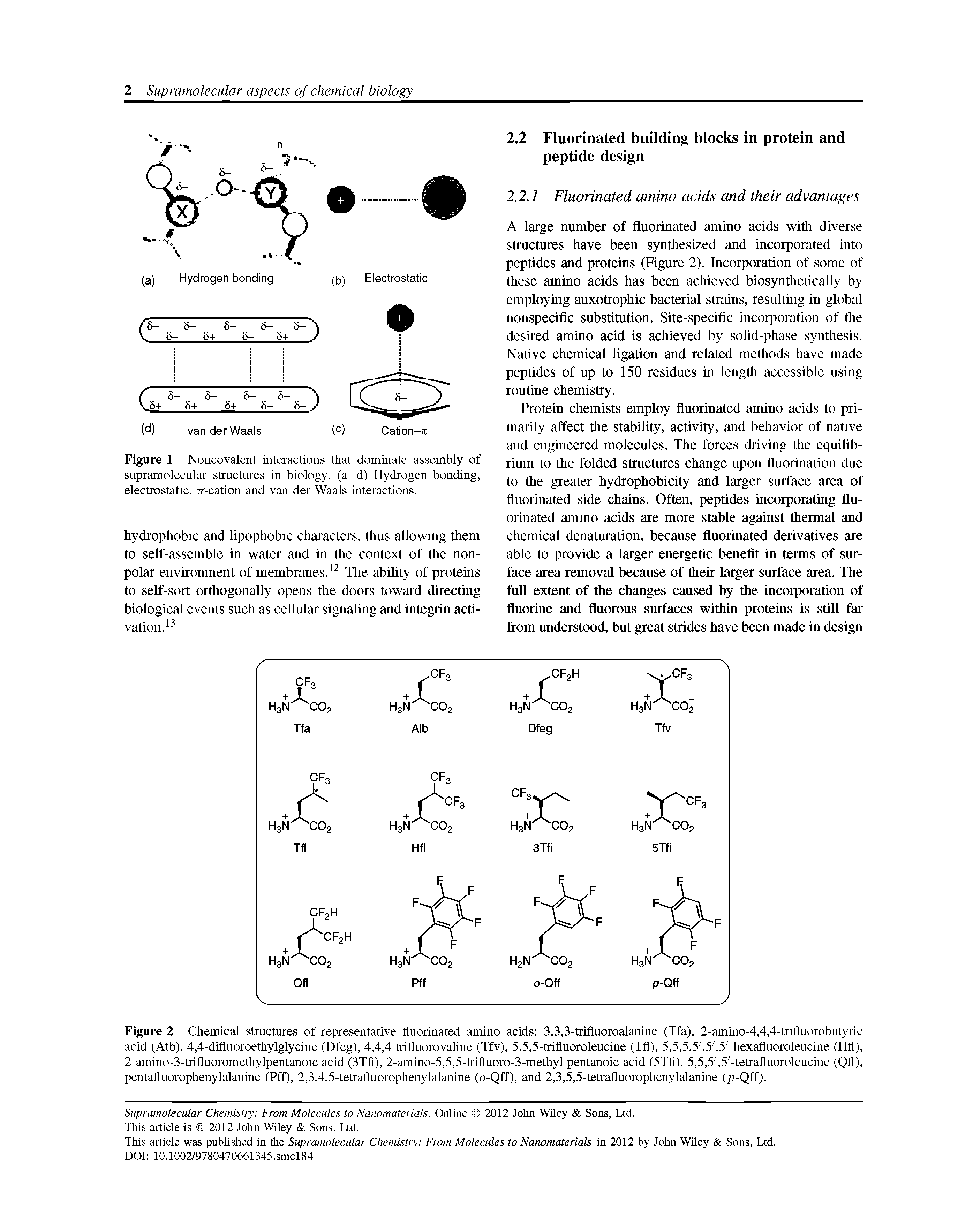 Figure 2 Chemical structures of representative fluorinated amino acids 3,3,3-trifluoroalanine (Tfa), 2-amino-4,4,4-trifluorobutyric acid (Atb), 4,4-difluoroethylglycine (Dfeg), 4,4,4-trifluorovaline (Tfv), 5,5,5-trifluoroleucine (Tfl), 5,5,5,5, 5, 5 -hexafluoroleucine (Hfl), 2-amino-3-trifluoromethylpentanoic acid (3Tfl), 2-amino-5,5,5-trifluoro-3-methyl pentanoic acid (5Tfi), 5,5,5, 5 -tetrafluoroleucine (Qfl), pentafluorophenylalanine (Pff), 2,3,4,5-tetrafluorophenylalanine (o-Qff), and 2,3,5,5-tetrafluorophenylalanine (p-Qff).