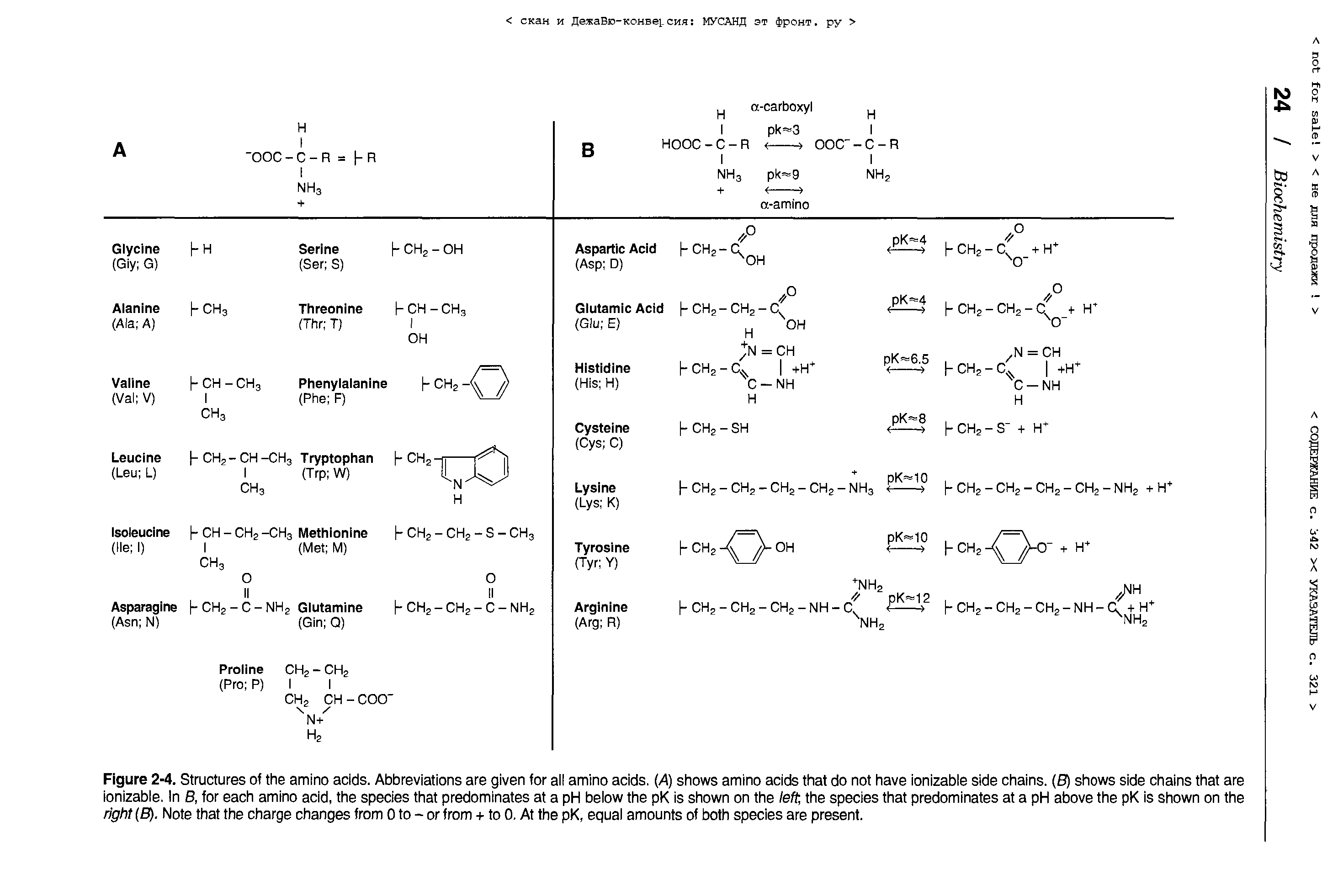 Figure 2-4. Structures of the amino acids. Abbreviations are given for all amino acids. (A) shows amino acids that do not have ionizable side chains. (8) shows side chains that are ionizable. In 8, for each amino acid, the species that predominates at a pH below the pK is shown on the left, the species that predominates at a pH above the pK is shown on the right (8). Note that the charge changes from 0 to - or from + to 0. At the pK, equal amounts of both species are present.