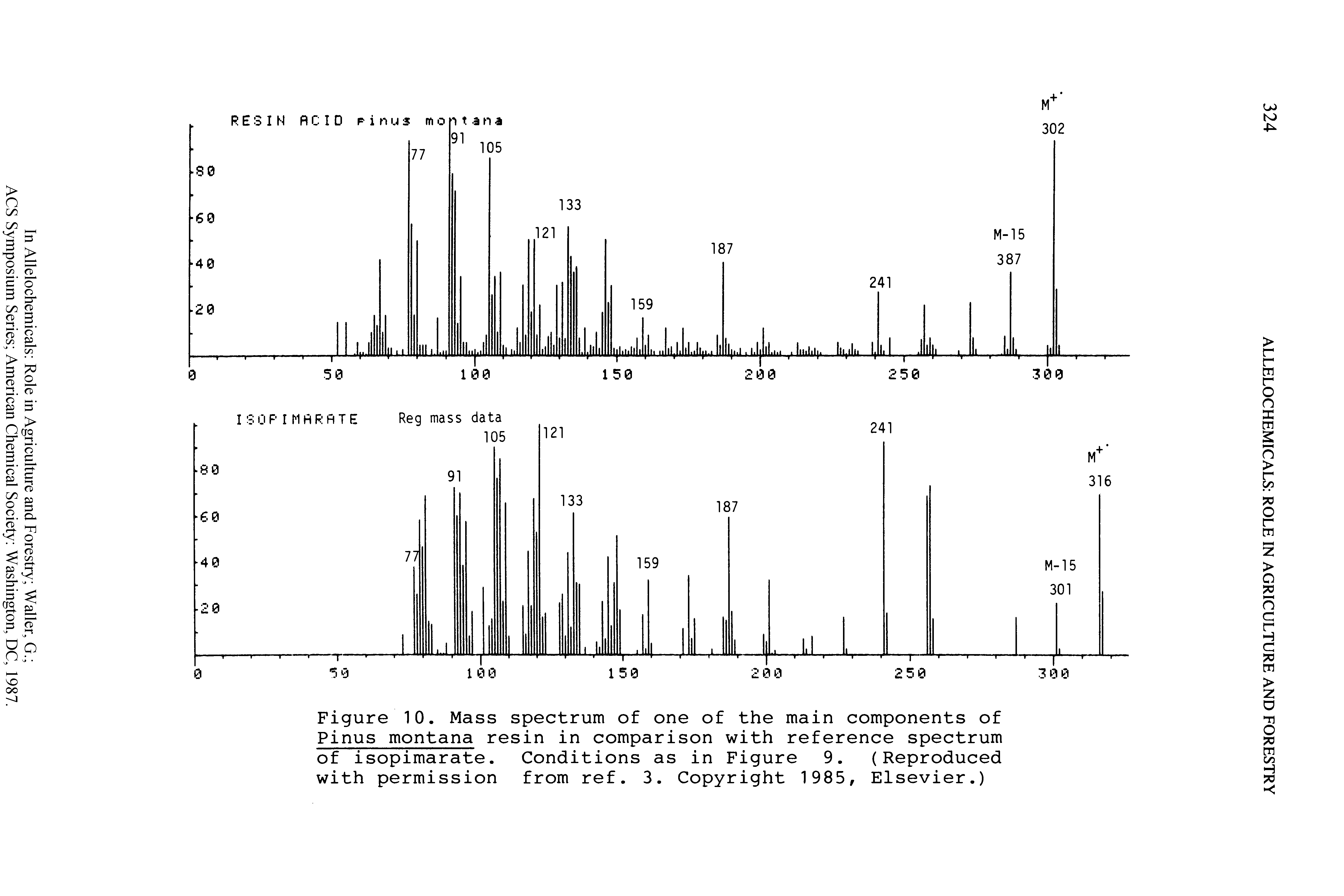 Figure 10. Mass spectrum of one of the main components of Pinus montana resin in comparison with reference spectrum of isopimarate. Conditions as in Figure 9. (Reproduced with permission from ref. 3. Copyright 1985, Elsevier.)...
