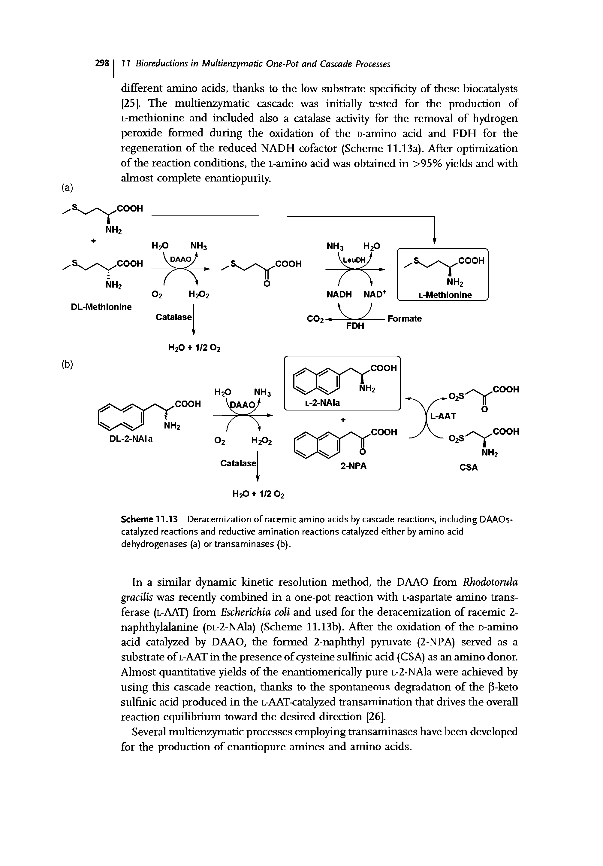 Scheme 11.13 Deracemization of racemic amino acids by cascade reactions, including DAAOs-catalyzed reactions and reductive amination reactions catalyzed either by amino acid dehydrogenases (a) or transaminases (b).