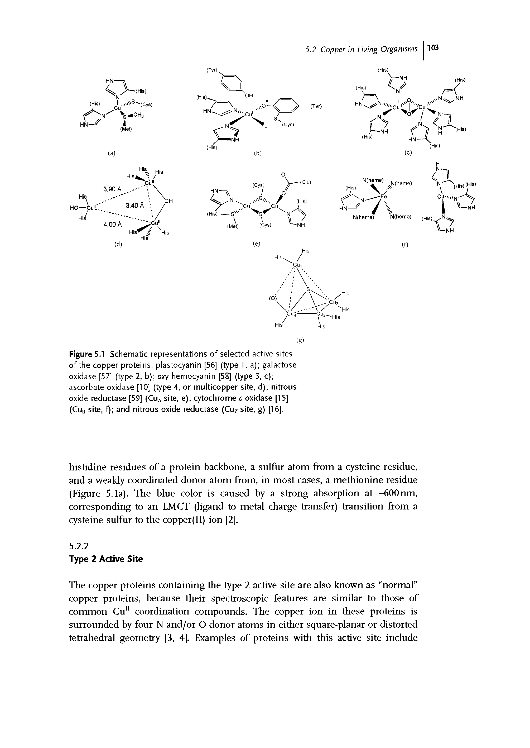 Figure 5.1 Schematic representations of selected active sites of the copper proteins plastocyanin [56] (type 1, a) galactose oxidase [57] (type 2, b) oxy hemocyanin [58] (type 3, c) ascorbate oxidase [10] (type 4, or multicopper site, d) nitrous oxide reductase [59] (CuA site, e) cytochrome c oxidase [15]...