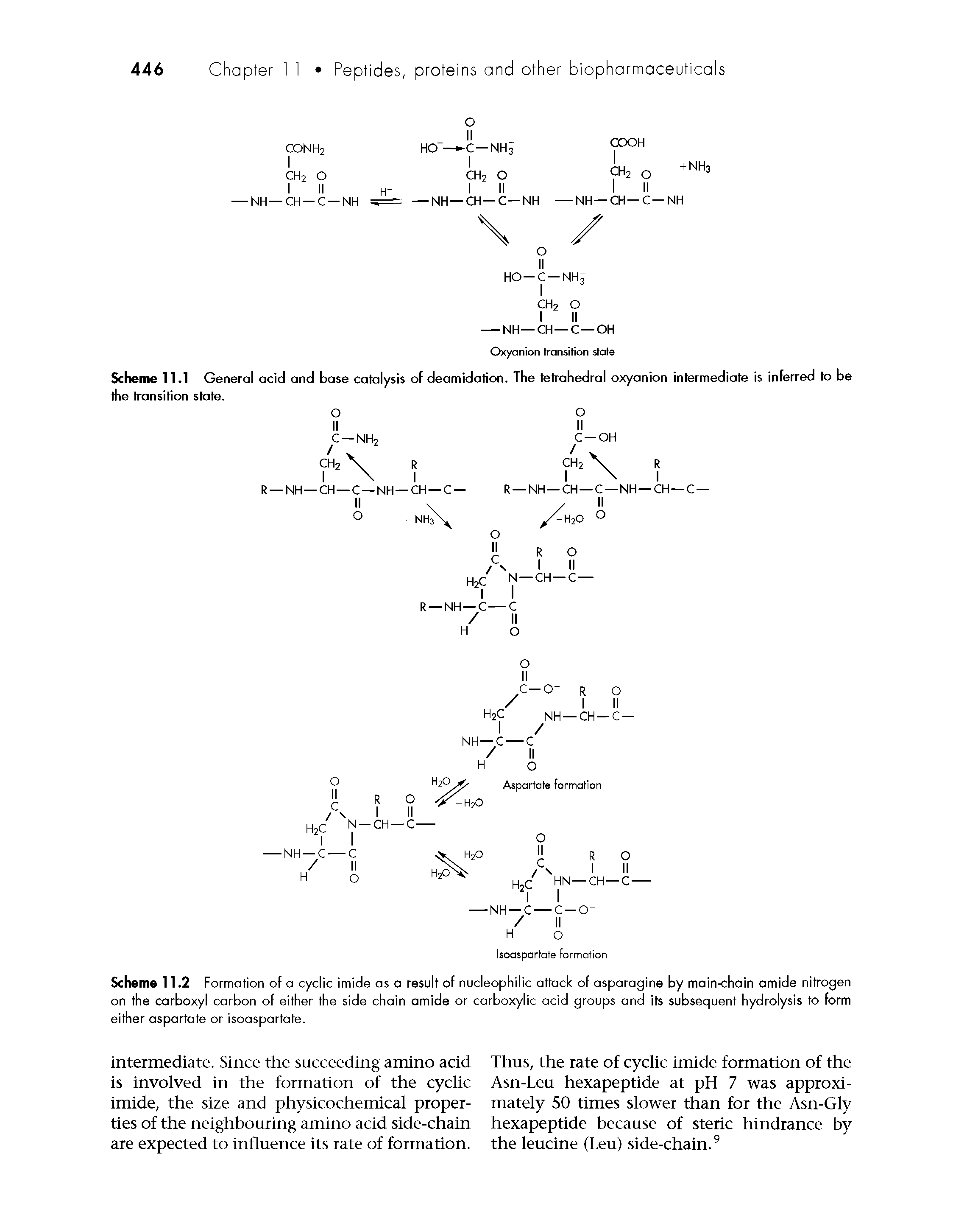 Scheme 11.1 General acid and base catalysis of deamidation. The tetrahedral oxyanion intermediate is inferred to be the transition state.