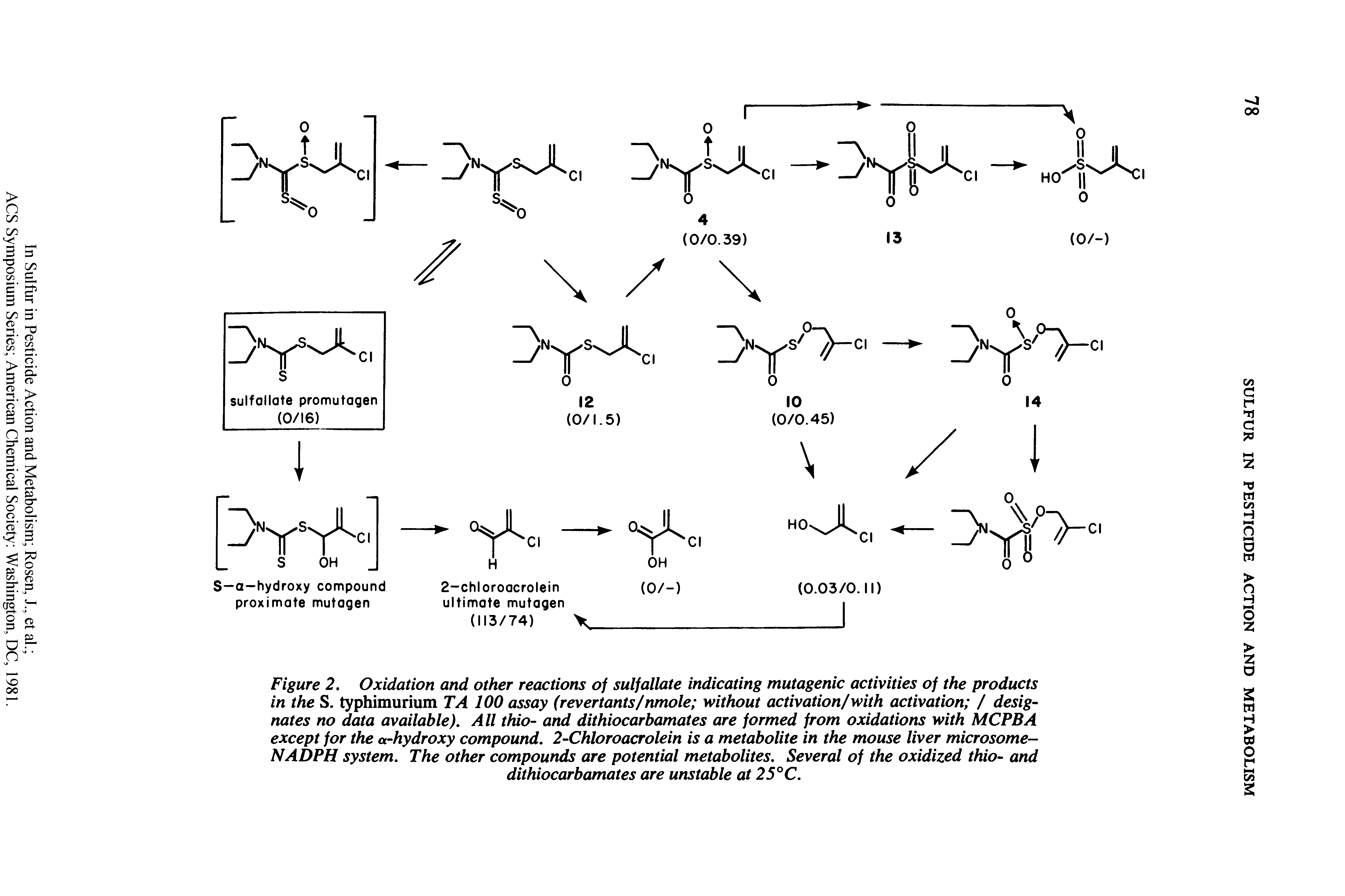 Figure 2, Oxidation and other reactions of suljallate indicating mutagenic activities of the products in the S. typhimurium TA 100 assay (revertants/nmole without activation/with activation / designates no data available). All thio- and dithiocarbamates are formed from oxidations with MCPBA except for the a-hydroxy compound. 2-Chloroacrolein is a metabolite in the mouse liver microsome-NADPH system. The other compounds are potential metabolites. Several of the oxidized thio- and...