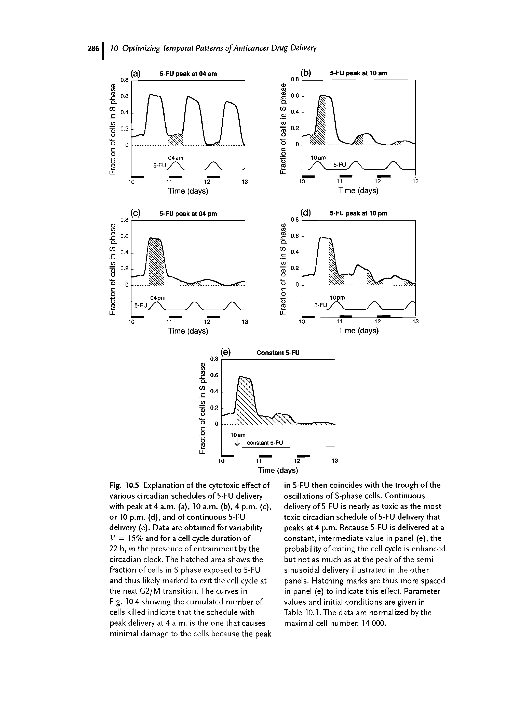 Fig. 10.5 Explanation of the cytotoxic effect of various circadian schedules of5-FU delivery with peak at 4 a.m. (a), 10 a.m. (b), 4 p.m. (c), or 10 p.m. (d), and of continuous 5-FU delivery (e). Data are obtained for variability V = 15% and for a cell cycle duration of 22 h, in the presence of entrainment by the circadian clock. The hatched area shows the fraction of cells in S phase exposed to 5-FU and thus likely marked to exit the cell cycle at the next G2/M transition. The curves in Fig. 10.4 showing the cumulated number of cells killed indicate that the schedule with peak delivery at 4 a.m. is the one that causes minimal damage to the cells because the peak...