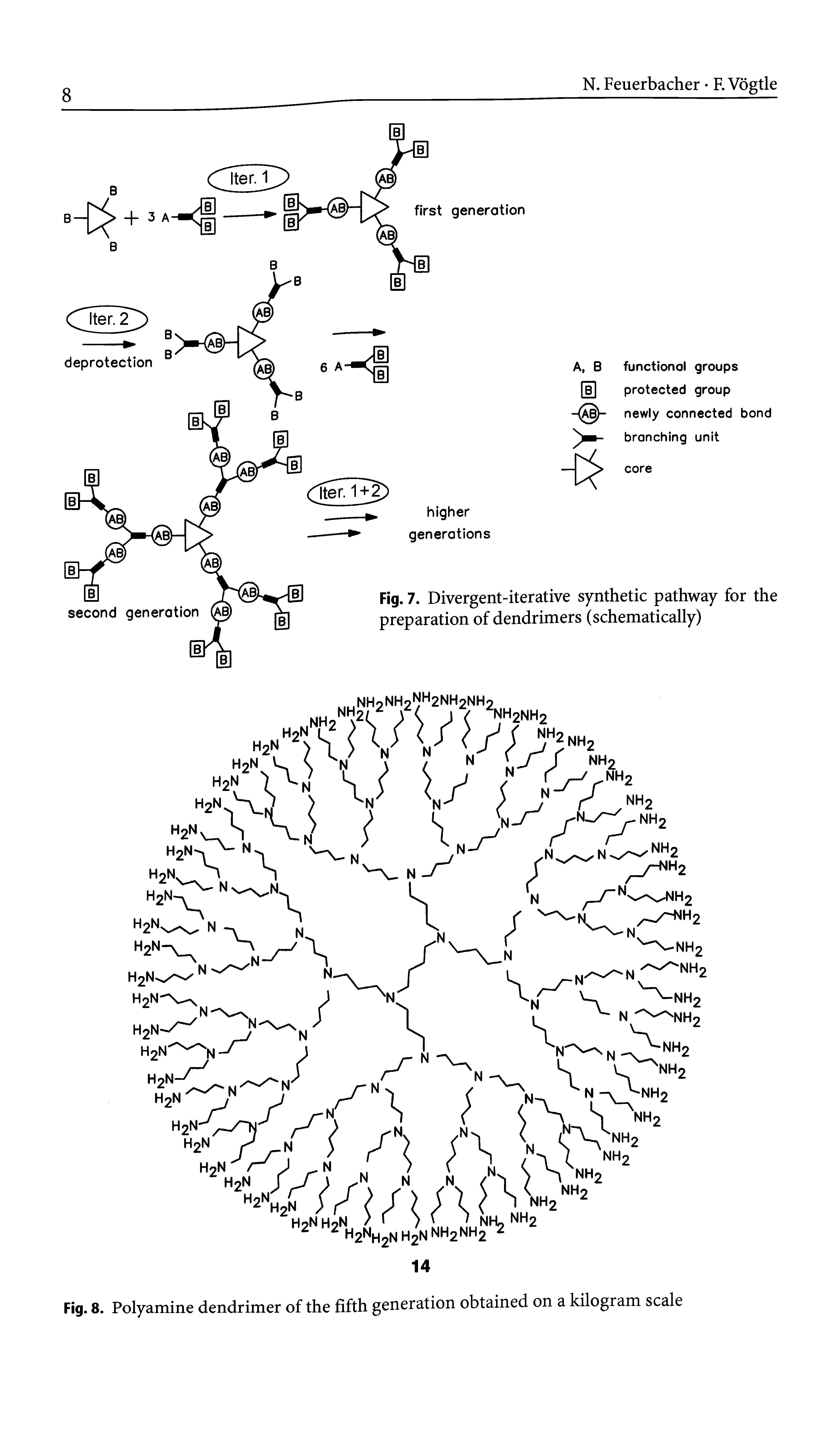 Fig. 8. Polyamine dendrimer of the fifth generation obtained on a kilogram scale...