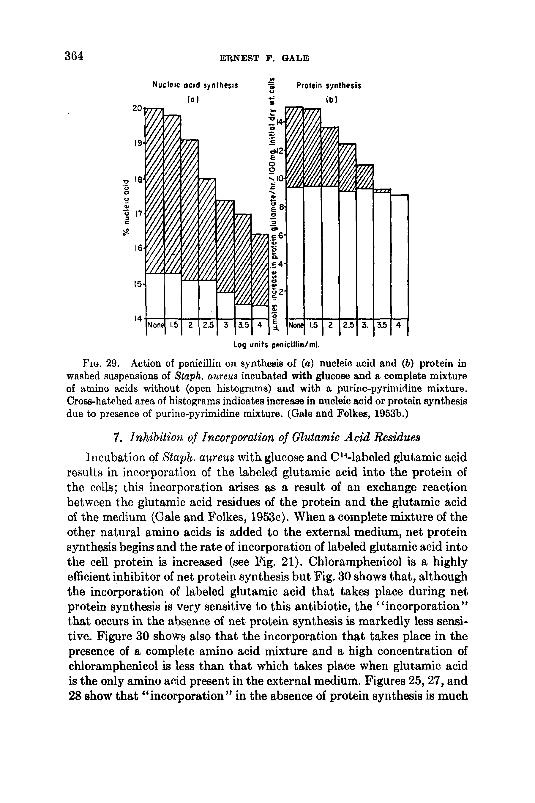 Fig. 29. Action of penicillin on synthesis of (a) nucleic acid and (6) protein in washed suspensions of Staph, aureus incubated with glucose and a complete mixture of amino acids without (open histograms) and with a purine-pyrimidine mixture. Cross-hatched area of histograms indicates increase in nucleic acid or protein synthesis due to presence of purine-pyrimidine mixture. (Gale and Folkes, 1953b.)...