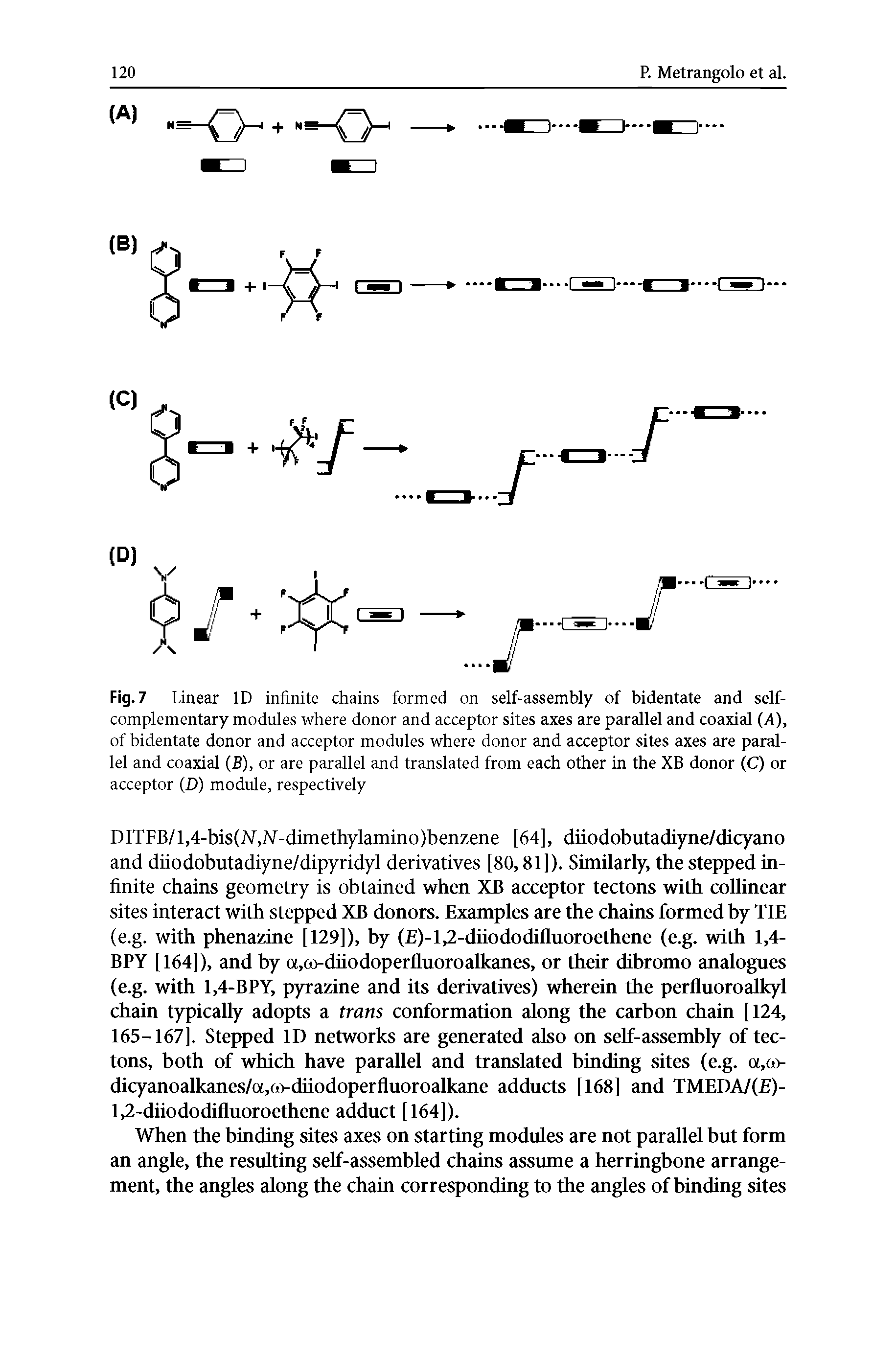 Fig. 7 Linear ID infinite chains formed on self-assembly of bidentate and self-complementary modules where donor and acceptor sites axes are parallel and coaxial (A), of bidentate donor and acceptor modules where donor and acceptor sites axes are parallel and coaxial (B), or are parallel and translated from each other in the XB donor (C) or acceptor (D) module, respectively...