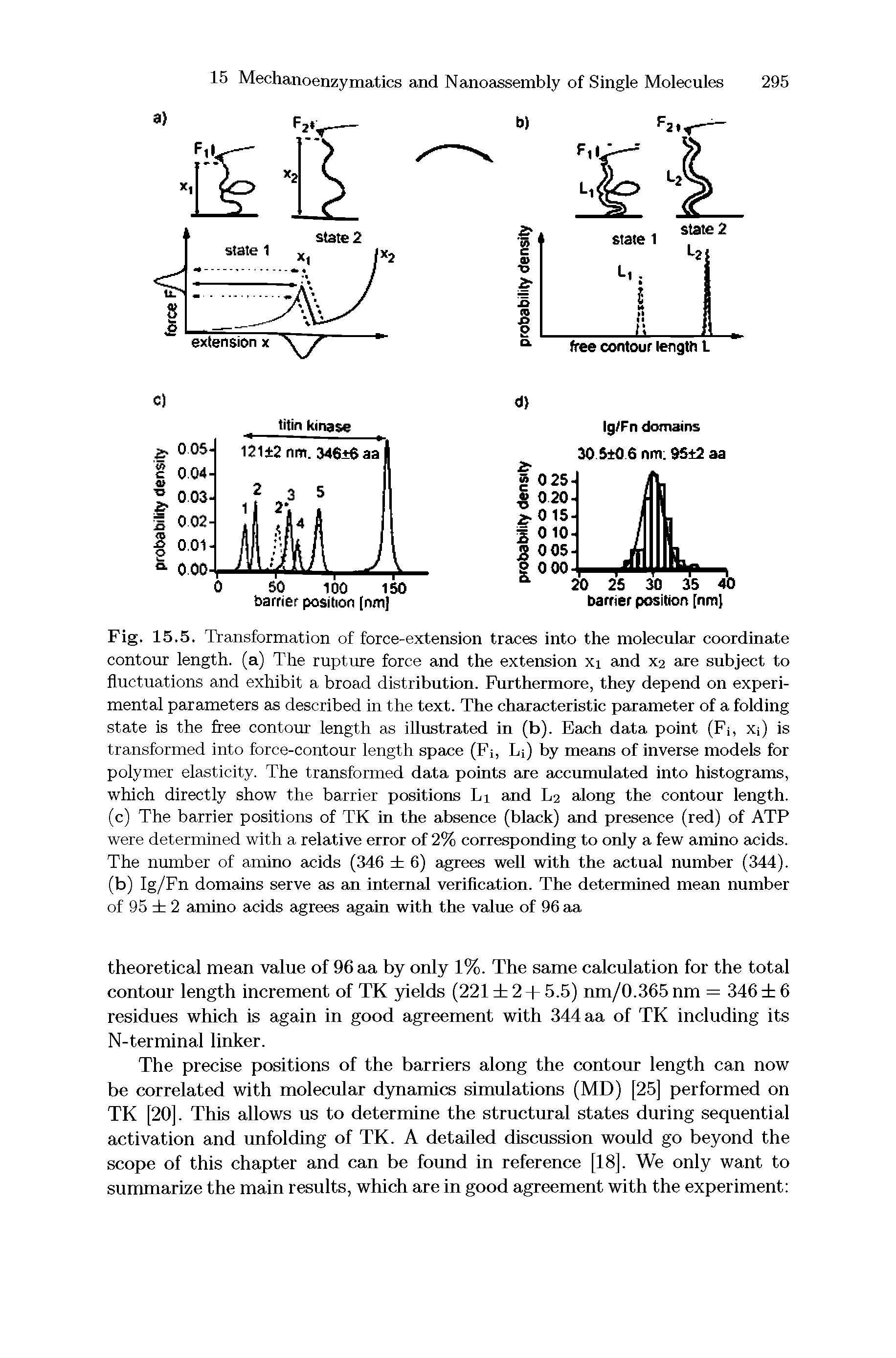 Fig. 15.5. Transformation of force-extension traces into the molecular coordinate contour length, (a) The rupture force and the extension xi and X2 are subject to fluctuations and exhibit a broad distribution. Furthermore, they depend on experimental parameters as described in the text. The characteristic parameter of a folding state is the free contour length as illustrated in (b). Each data point (Fi, Xi) is transformed into force-contour length space (Fi, Li) by means of inverse models for polymer elasticity. The transformed data points are accumulated into histograms, which directly show the barrier positions Li and L2 along the contour length, (c) The barrier positions of TK in the absence (black) and presence (red) of ATP were determined with a relative error of 2% corresponding to only a few amino acids. The number of amino acids (346 6) agrees well with the actual number (344). (b) Ig/Fn domains serve as an internal verification. The determined mean number of 95 2 amino acids agrees again with the value of 96 aa...