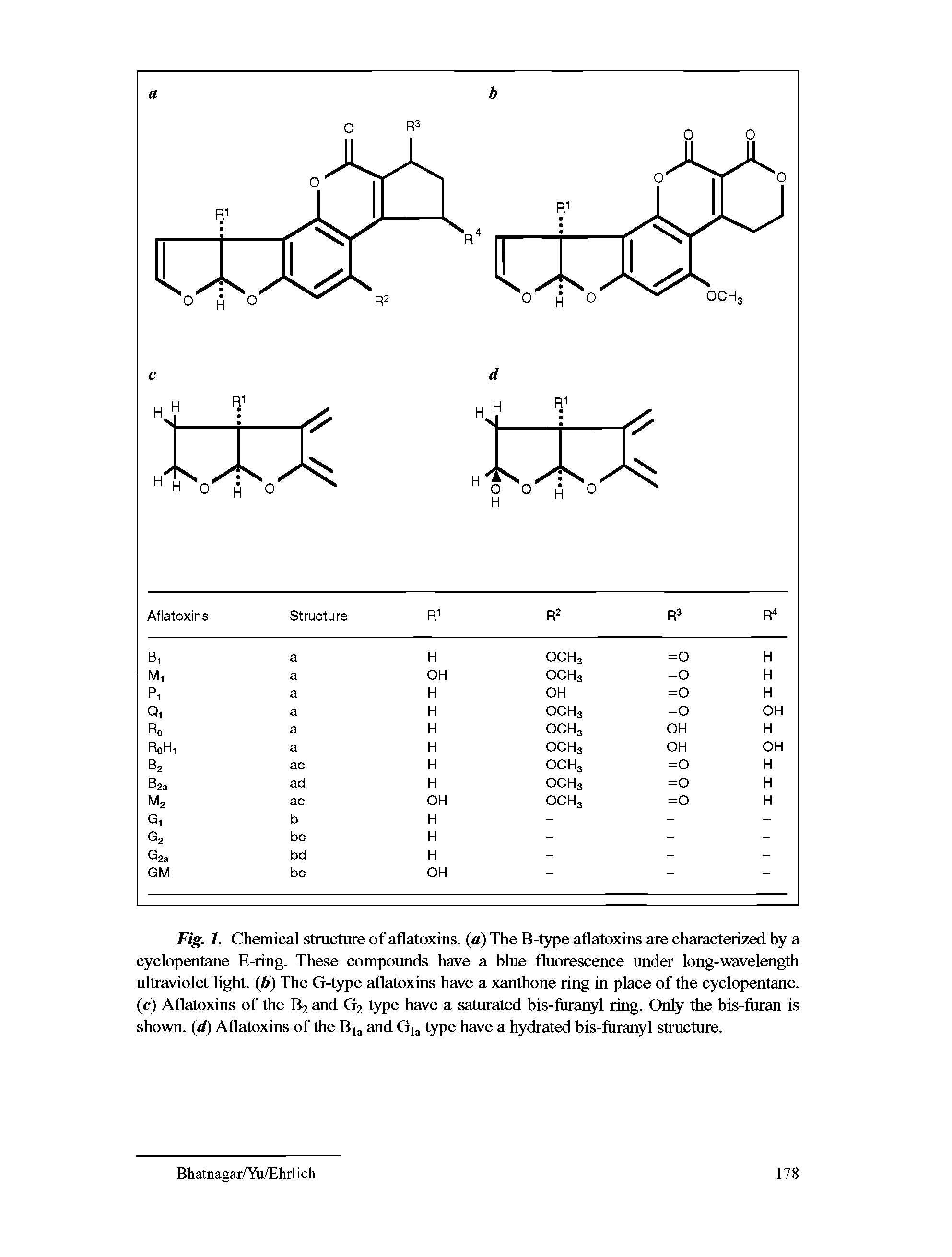 Fig. 1. Chemical structure of aflatoxins. (a) The B-type aflatoxins are characterized hy a cyclopeutane E-ring. These compoimds have a hlue fluorescence under long-wavelength ultraviolet hght (h) The G-type aflatoxins have a xanthone ring in place of the cyclopentane, (c) Aflatoxins of the B2 and G2 type have a saturated bis-furanyl ring. Only the bis-firran is shown, (d) Aflatoxins of the Bi and Gi type have a hydrated his-furanyl structure.