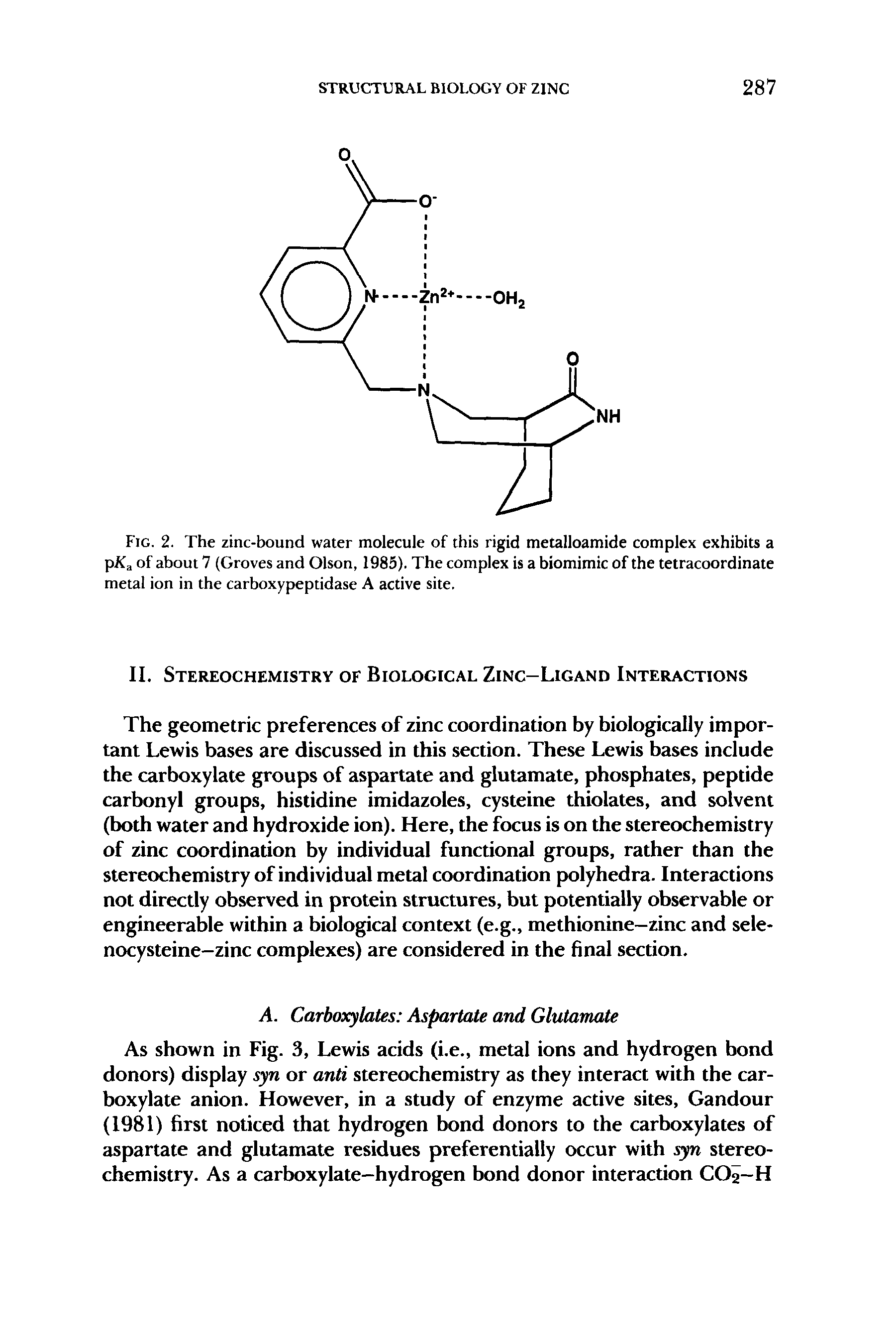 Fig. 2. The zinc-bound water molecule of this rigid metalloamide complex exhibits a pKa of about 7 (Groves and Olson, 1985). The complex is a biomimic of the tetracoordinate metal ion in the carboxypeptidase A active site.