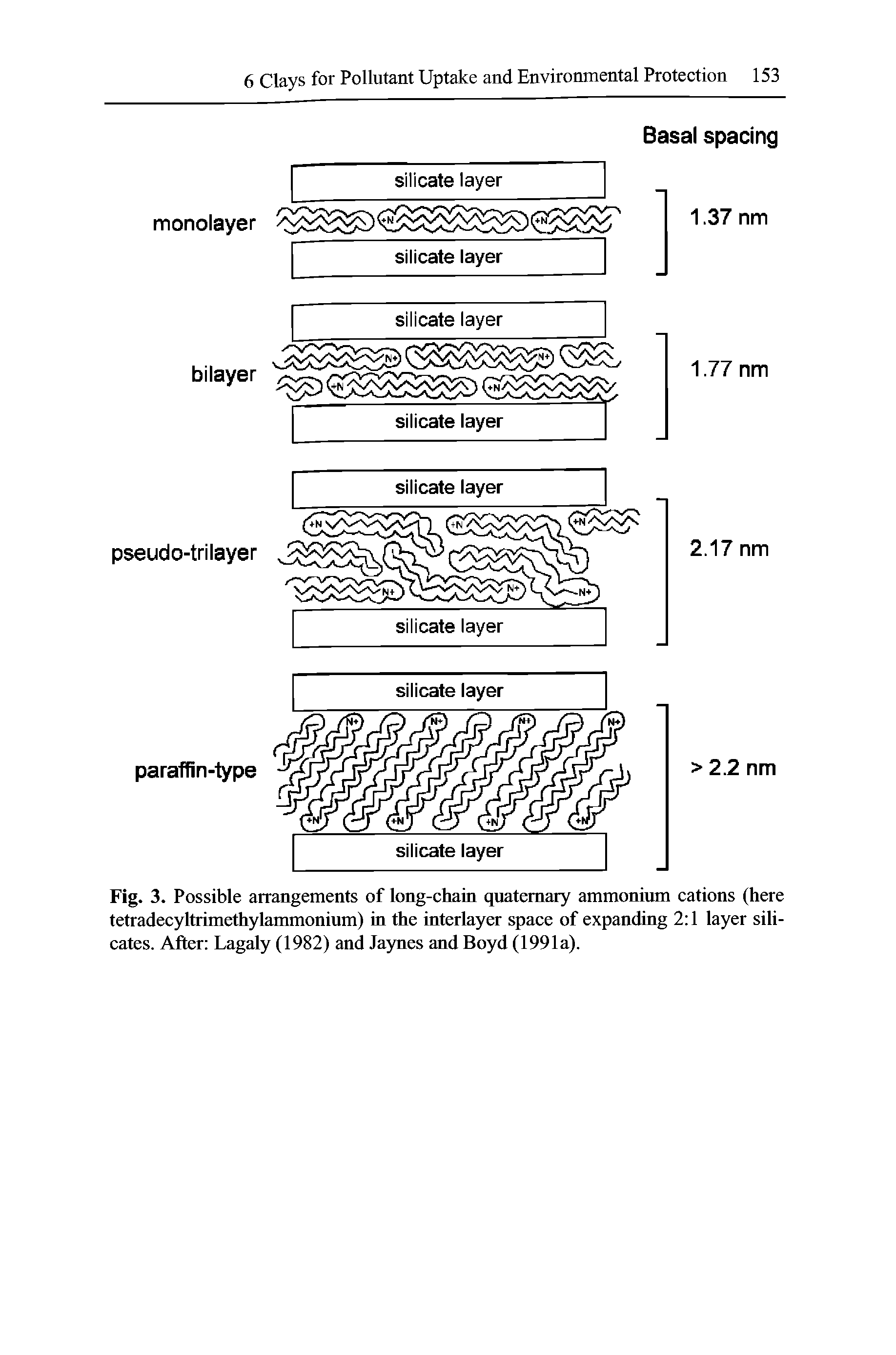 Fig. 3. Possible arrangements of long-chain quaternary ammonium cations (here tetradecyltrimethylammonium) in the interlayer space of expanding 2 1 layer silicates. After Lagaly (1982) and Jaynes and Boyd (1991a).