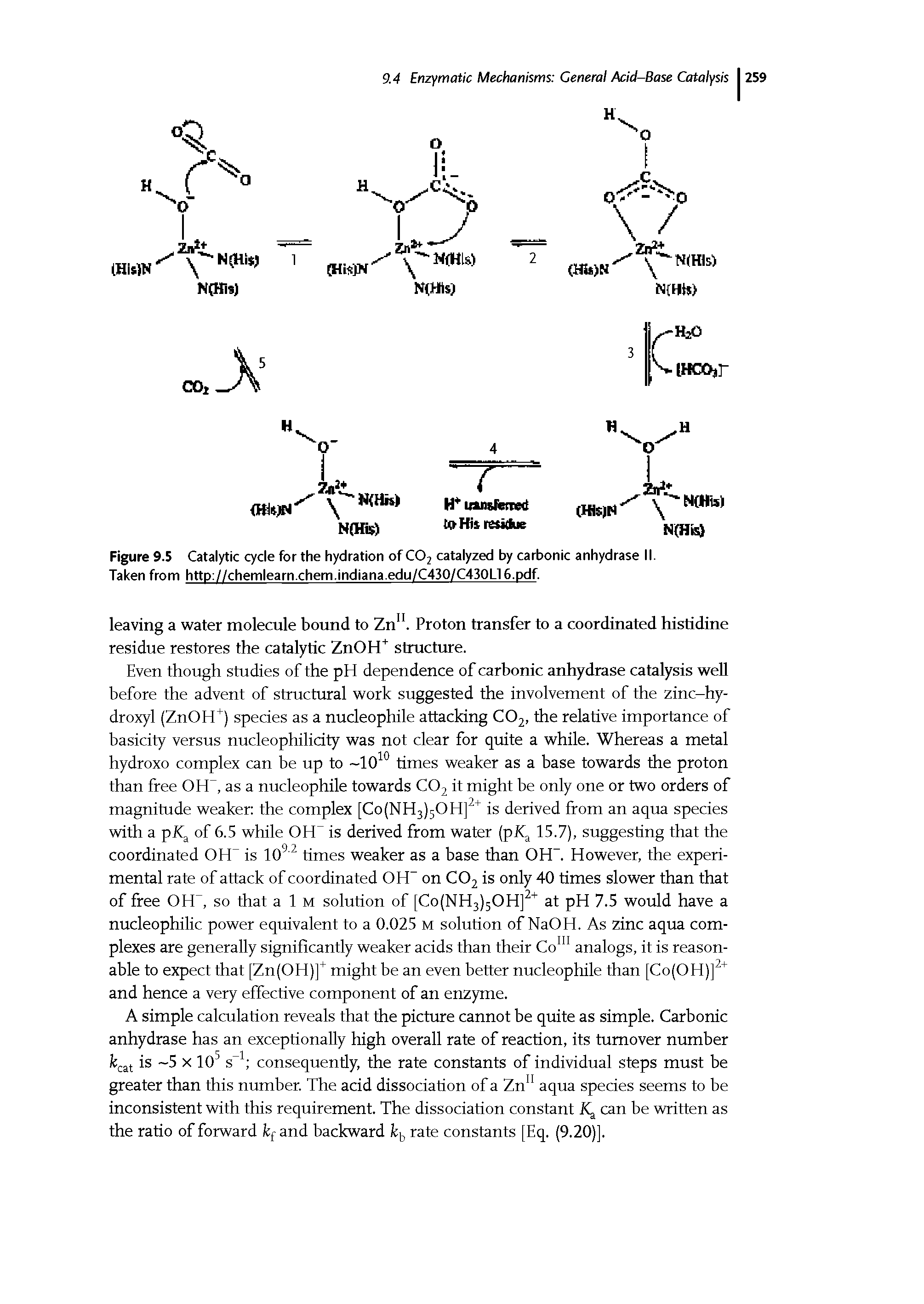 Figure 9.5 Catalytic cycle for the hydration of C02 catalyzed by carbonic anhydrase II. Taken from http //chemlearn.chem.indiana.edu/C430/C430L16.pdf.