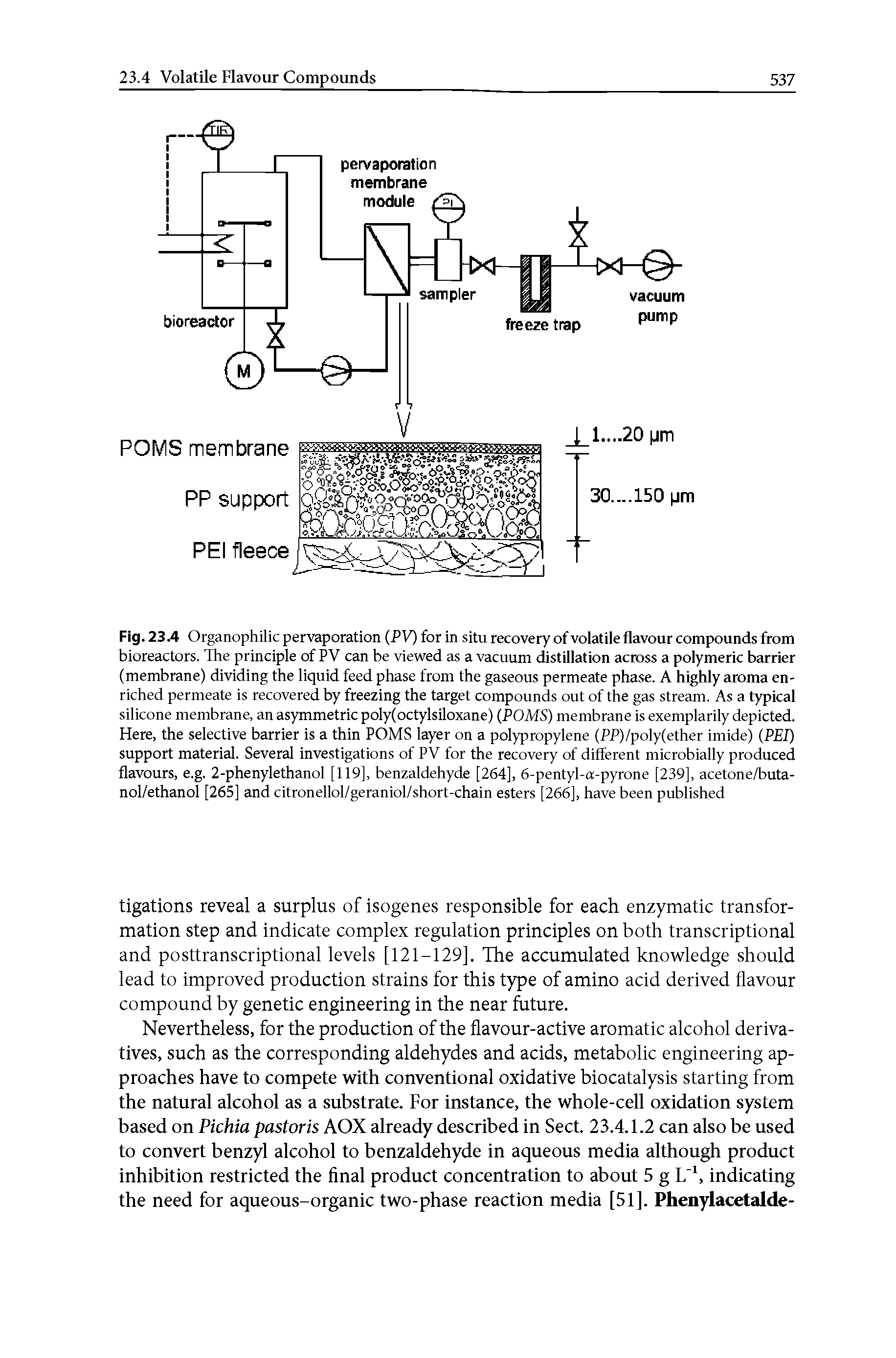 Fig. 23.4 Organophilic pervaporation (PV) for in situ recovery of volatile flavour compounds from bioreactors. The principle of PV can be viewed as a vacuum distillation across a polymeric barrier (membrane) dividing the liquid feed phase from the gaseous permeate phase. A highly aroma enriched permeate is recovered by freezing the target compounds out of the gas stream. As a typical silicone membrane, an asymmetric poly(octylsiloxane) (POMS) membrane is exemplarily depicted. Here, the selective barrier is a thin POMS layer on a polypropylene (PP)/poly(ether imide) (PEI) support material. Several investigations of PV for the recovery of different microbially produced flavours, e.g. 2-phenylethanol [119], benzaldehyde [264], 6-pentyl-a-pyrone [239], acetone/buta-nol/ethanol [265] and citronellol/geraniol/short-chain esters [266], have been published...