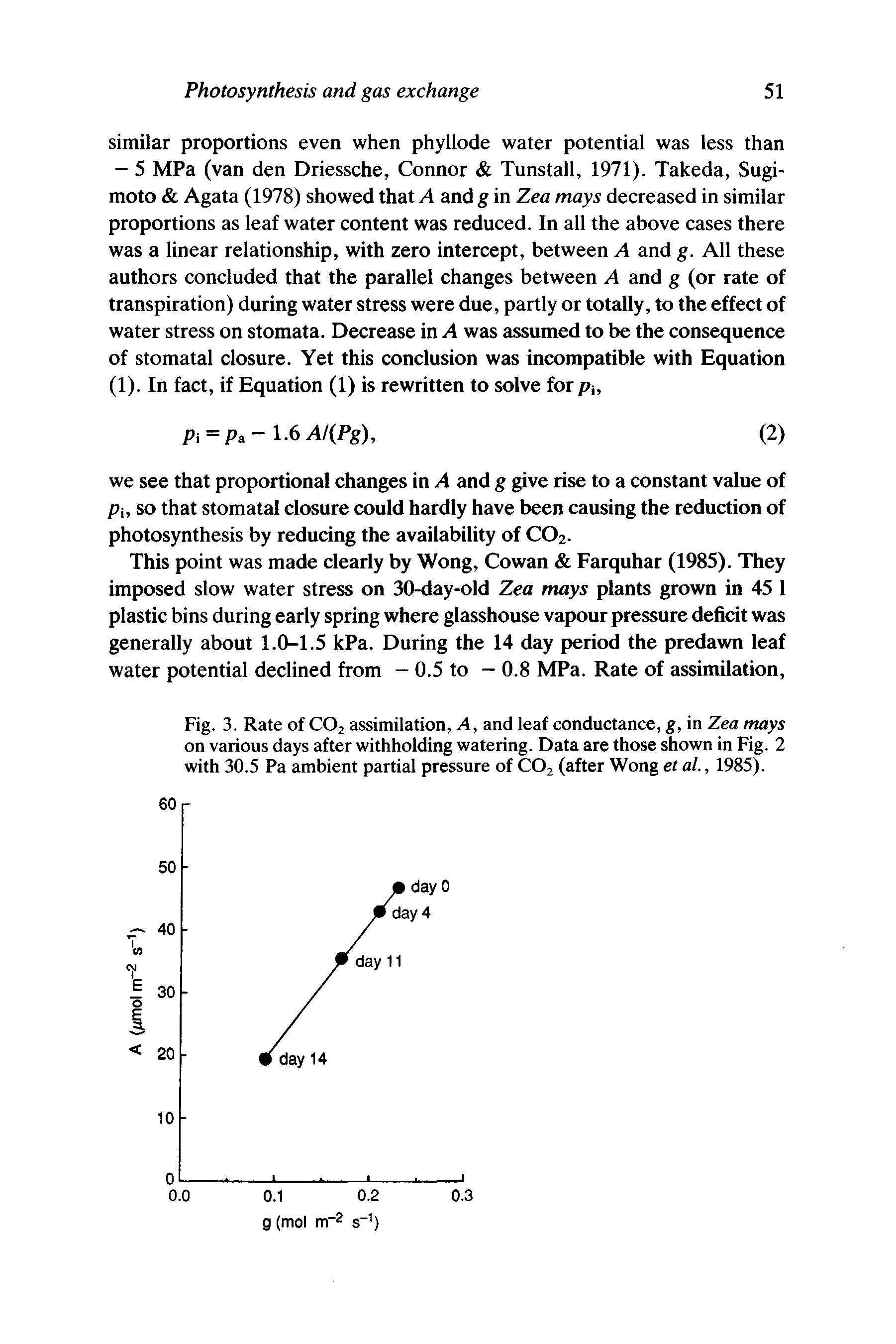 Fig. 3. Rate of CO2 assimilation. A, and leaf conductance, g, in Zea mays on various days after withholding watering. Data are those shown in Fig. 2 with 30.5 Pa ambient partial pressure of CO2 (after Wong et al., 1985).