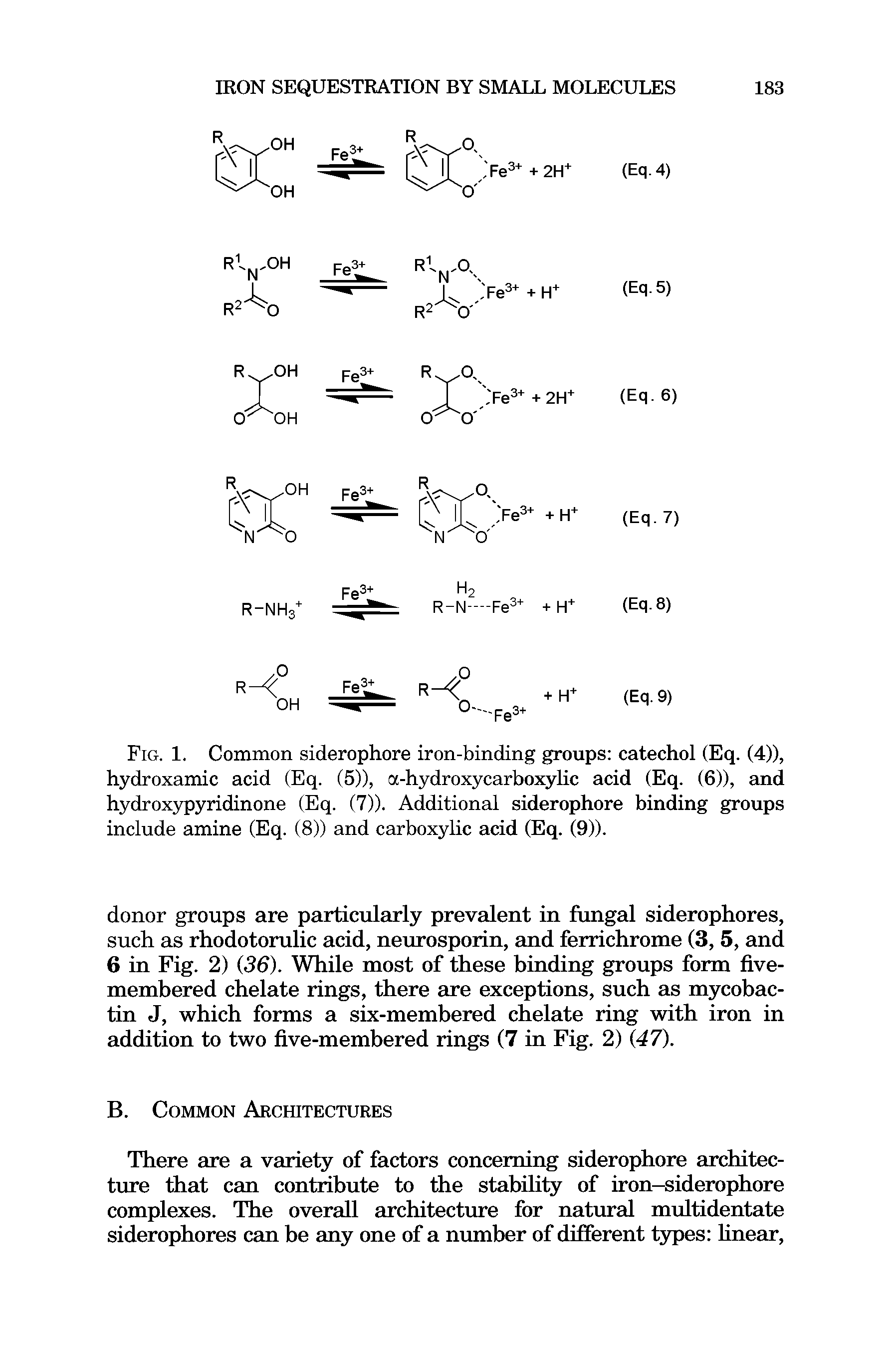 Fig. 1. Common siderophore iron-binding groups catechol (Eq. (4)), hydroxamic acid (Eq. (5)), ot-hydroxycarboxylic acid (Eq. (6)), and hydroxypyridinone (Eq. (7)). Additional siderophore binding groups ...