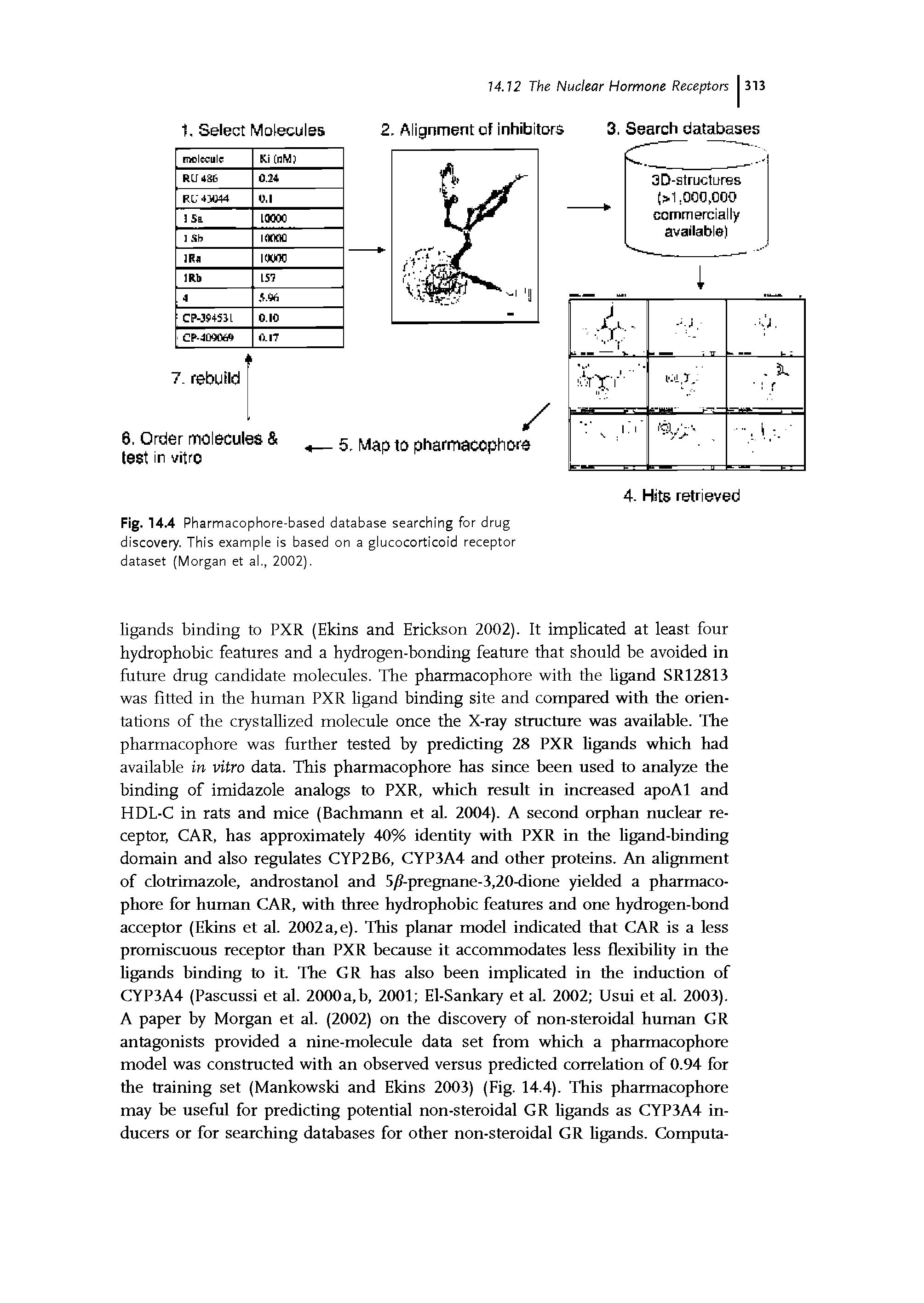 Fig. 14.4 Pharmacophore-based database searching for drug discovery. This example is based on a glucocorticoid receptor dataset (Morgan et al., 2002).