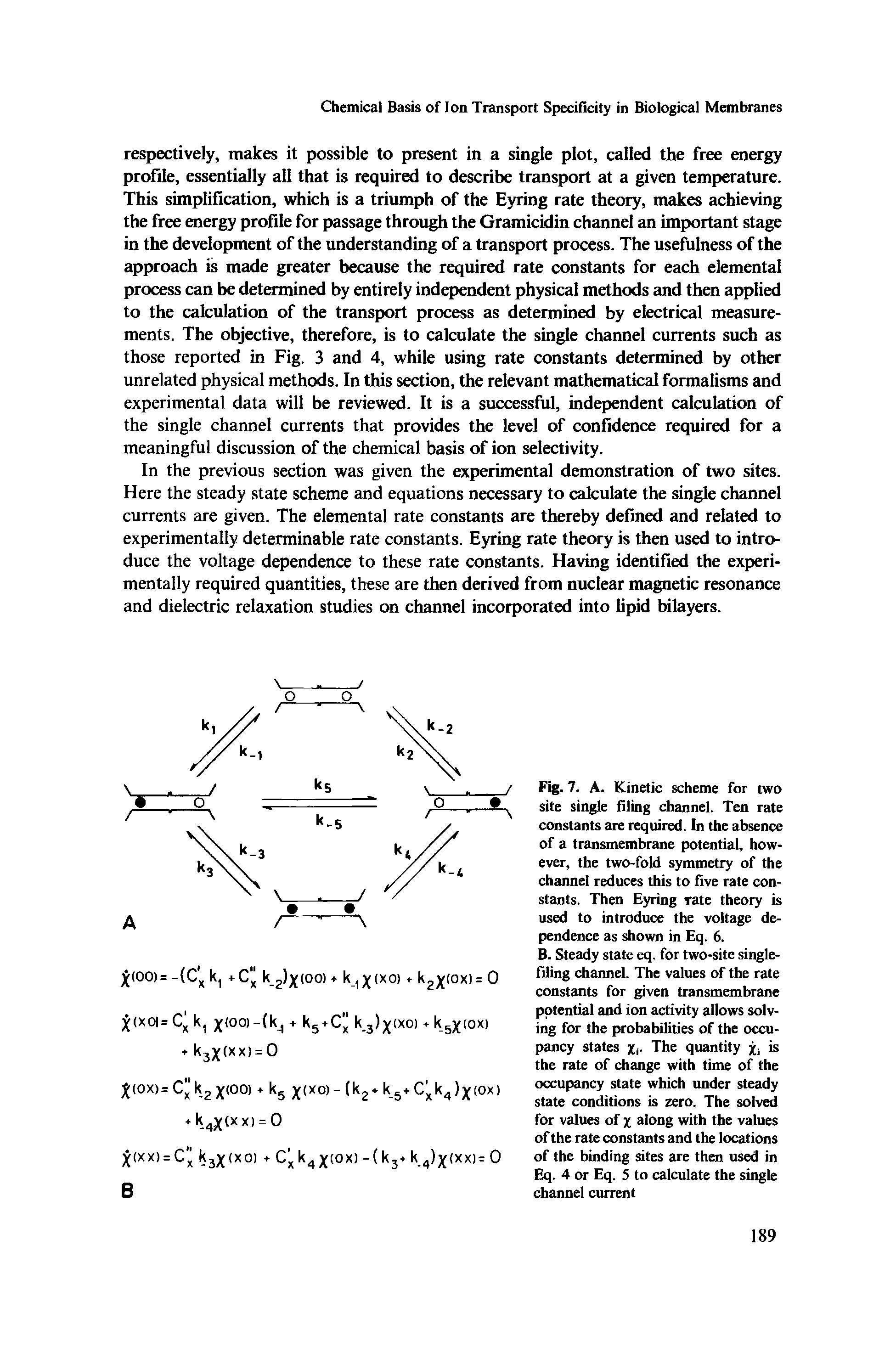 Fig. 7. A. Kinetic scheme for two site single filing channel. Ten rate constants are required. In the absence of a transmembrane potential, however, the two-fold symmetry of the channel reduces this to five rate constants. Then Eyring rate theory is used to introduce the voltage dependence as shown in Eq. 6.