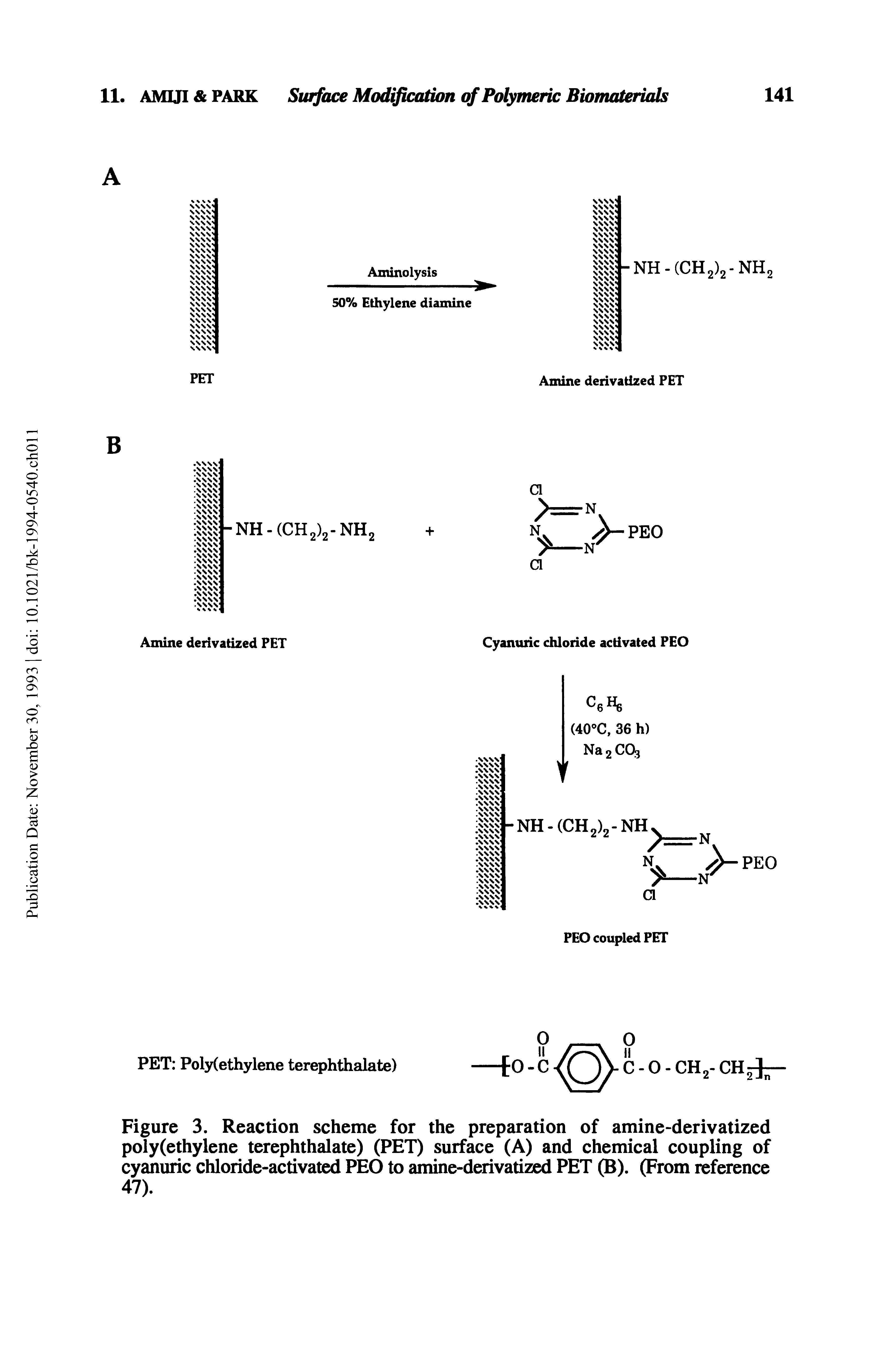 Figure 3. Reaction scheme for the preparation of amine-derivatized poly(ethylene terephthalate) (PET) surface (A) and chemical coupling of cyanuric chloride-activated PEO to amine-derivatized PET (B). (From reference 47).
