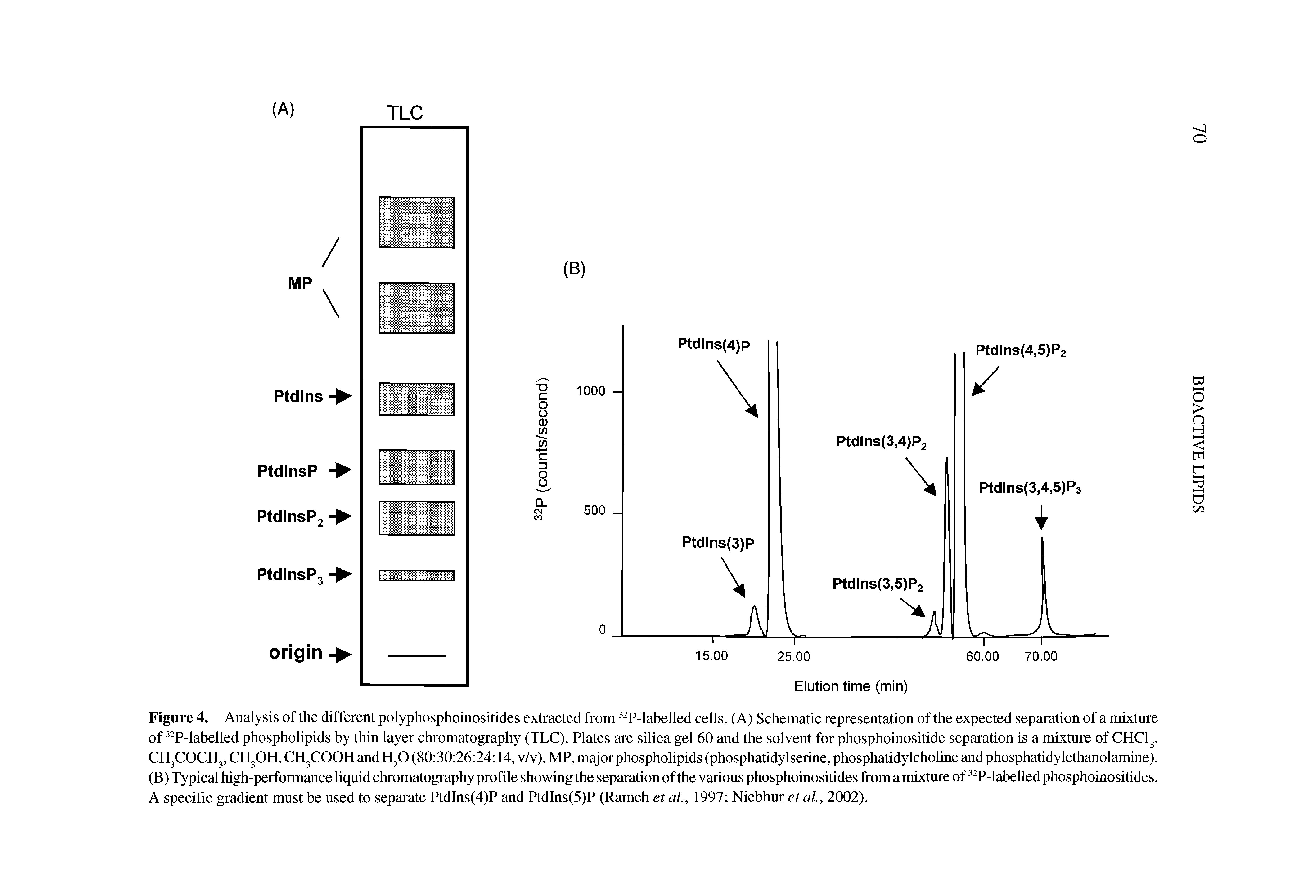 Figure 4. Analysis of the different polyphosphoinositides extracted from P-labelled cells. (A) Schematic representation of the expected separation of a mixture of P-labelled phospholipids by thin layer chromatography (TLC). Plates are silica gel 60 and the solvent for phosphoinositide separation is a mixture of CHCI3, CH3COCH3, CH3OH, CH3COOH and H O (80 30 26 24 14, v/v). MP, major phospholipids (phosphatidylserine, phosphatidylcholine and phosphatidylethanolamine). (B) Typical high-performance liquid chromatography profile showing the separation of the various phosphoinositides from a mixture of P-labelled phosphoinositides. A specific gradient must be used to separate PtdIns(4)P and PtdIns(5)P (Rameh et ai, 1997 Niebhur et al., 2002).
