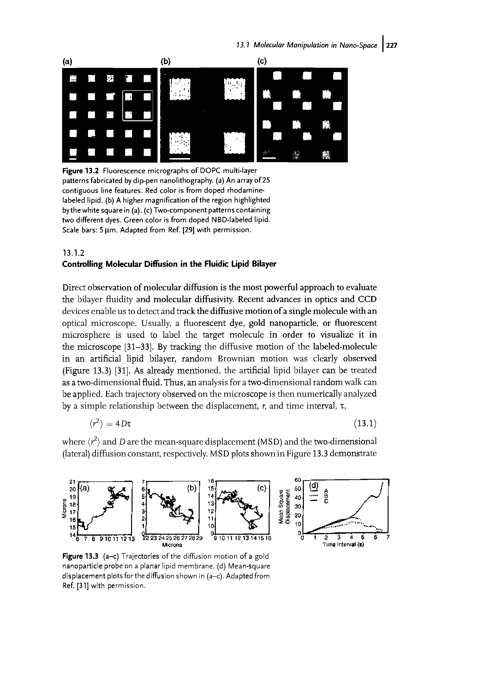 Figure 13.2 Fluorescence micrographs of DOPC multi-layer patterns fabricated by dip-pen nanolithography, (a) An array of 25 contiguous line features. Red color is from doped rhodamine-labeled lipid, (b) A higher magnification of the region highlighted by the white square in (a), (c) Two-component patterns containing two different dyes. Green color is from doped NBD-labeled lipid.