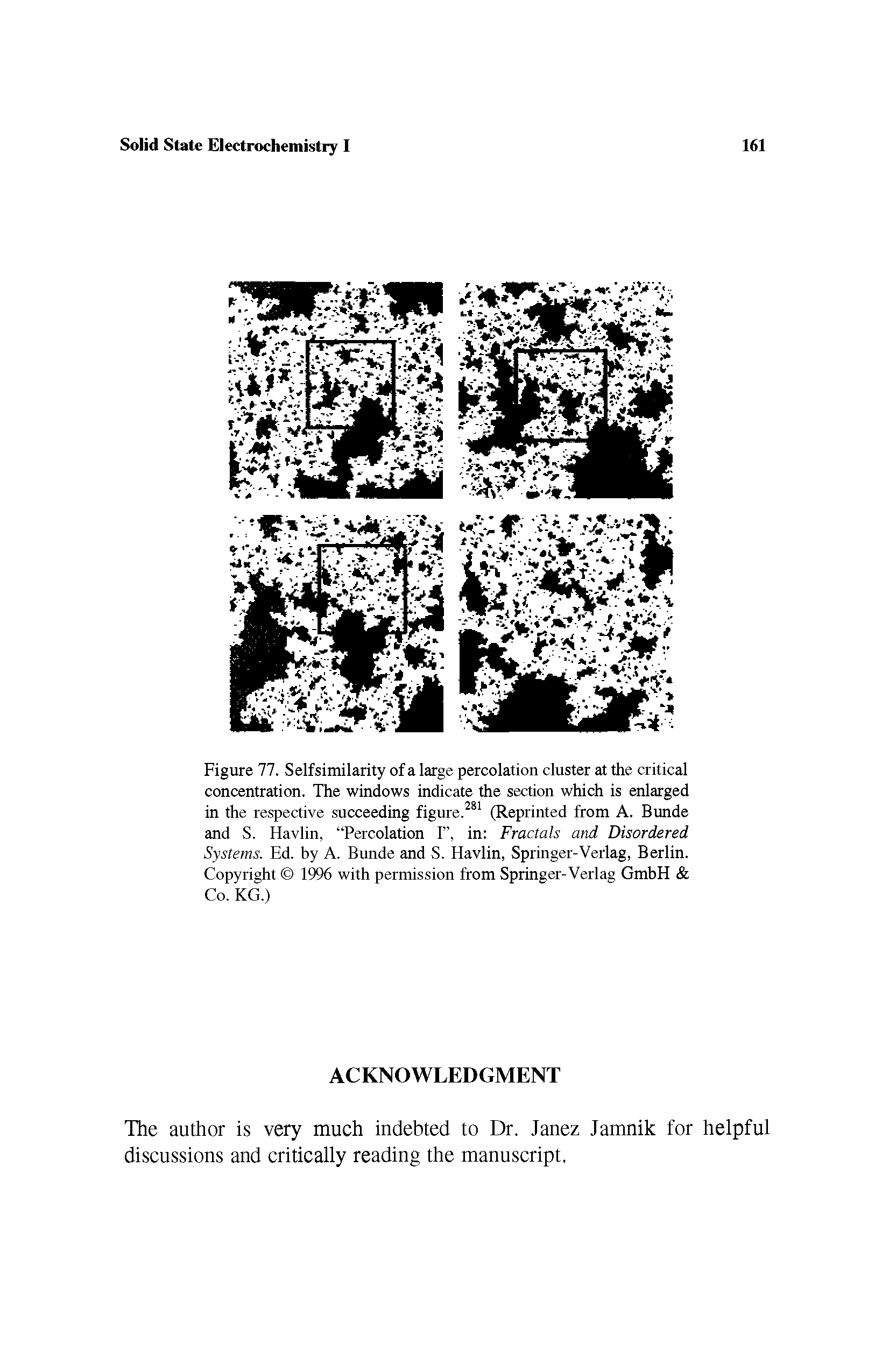 Figure 77. Selfsimilarity of a large percolation cluster at the critical concentration. The windows indicate the section which is enlarged in the respective succeeding figure.281 (Reprinted from A. Bunde and S. Havlin, Percolation I , in Fractals and Disordered Systems. Ed. by A. Bunde and S. Havlin, Springer-Verlag, Berlin. Copyright 1996 with permission from Springer-Verlag GmbH Co. KG.)...