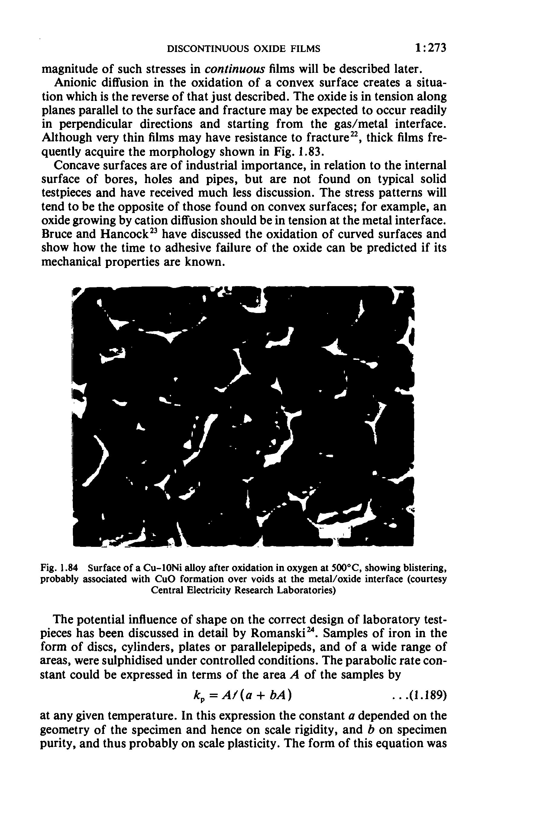 Fig. 1.84 Surface of a Cu-IONi alloy after oxidation in oxygen at 500°C, showing blistering, probably associated with CuO formation over voids at the metal/oxide interface (courtesy Central Electricity Research Laboratories)...