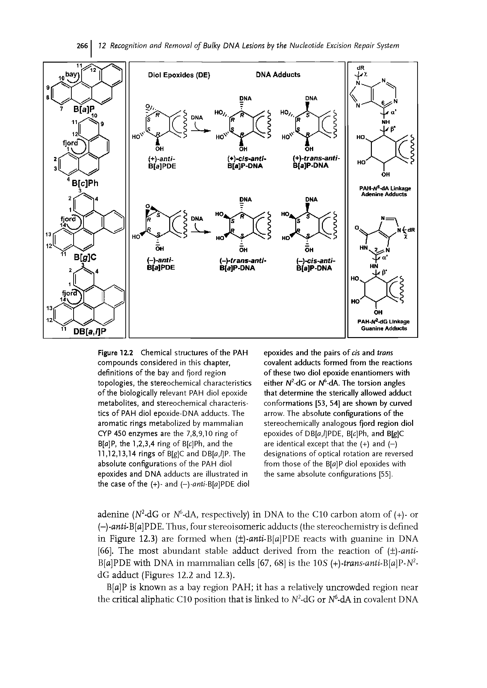 Figure 12.2 Chemical structures of the PAH compounds considered in this chapter, definitions of the bay and fjord region topologies, the stereochemical characteristics of the biologically relevant PAH diol epoxide metabolites, and stereochemical characteristics of PAH diol epoxide-DNA adducts. The aromatic rings metabolized by mammalian CYP 450 enzymes are the 7,8,9,10 ring of B[o]P, the 1,2,3,4 ring of B[c]Ph, and the 11,12,13,14 rings of B[g]C and DB[o,/]P. The absolute configurations of the PAH diol epoxides and DNA adducts are illustrated in the case of the (+)- and (-)-arrt/-B[a]PDE diol...