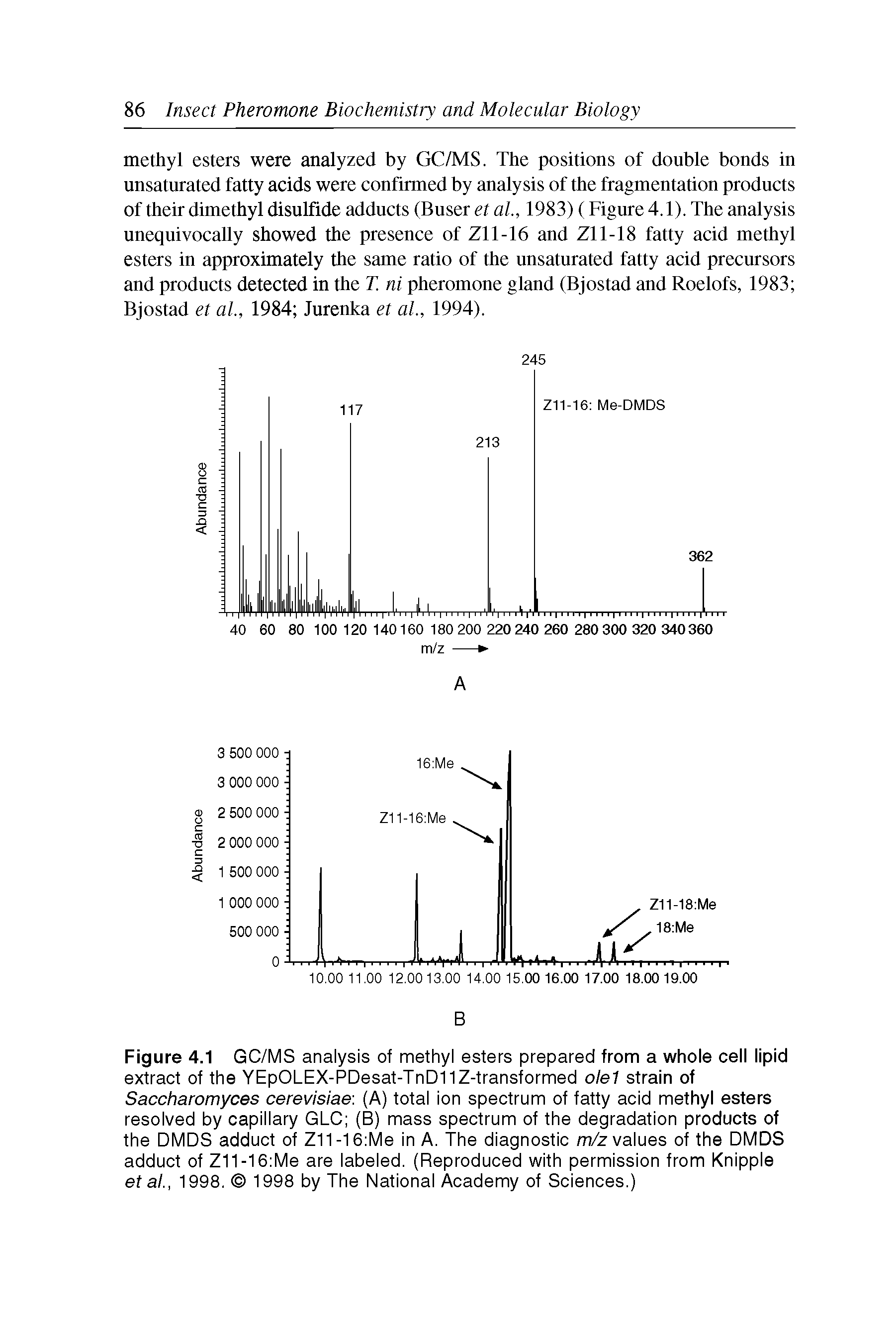 Figure 4.1 GC/MS analysis of methyl esters prepared from a whole cell lipid extract of the YEpOLEX-PDesat-TnD11Z-transformed ole1 strain of Saccharomyces cerevisiae (A) total ion spectrum of fatty acid methyl esters resolved by capillary GLC (B) mass spectrum of the degradation products of the DMDS adduct of Z11 -16 Me in A. The diagnostic m/z values of the DMDS adduct of Z11-16 Me are labeled. (Reproduced with permission from Knipple et al., 1998. 1998 by The National Academy of Sciences.)...