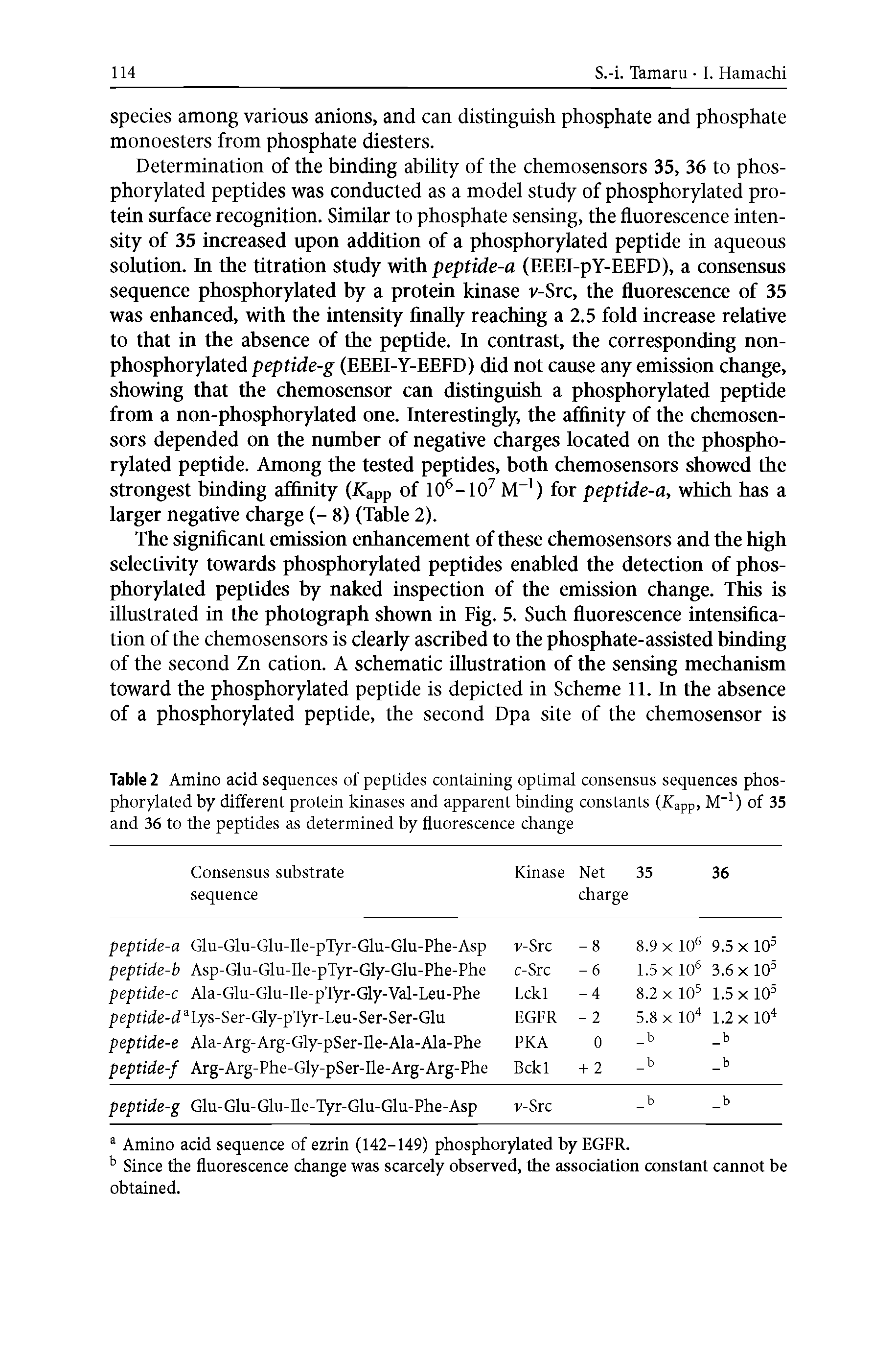 Table 2 Amino acid sequences of peptides containing optimal consensus sequences phosphorylated by different protein kinases and apparent binding constants (JCapp, M ) of 35 and 36 to the peptides as determined by fluorescence change...