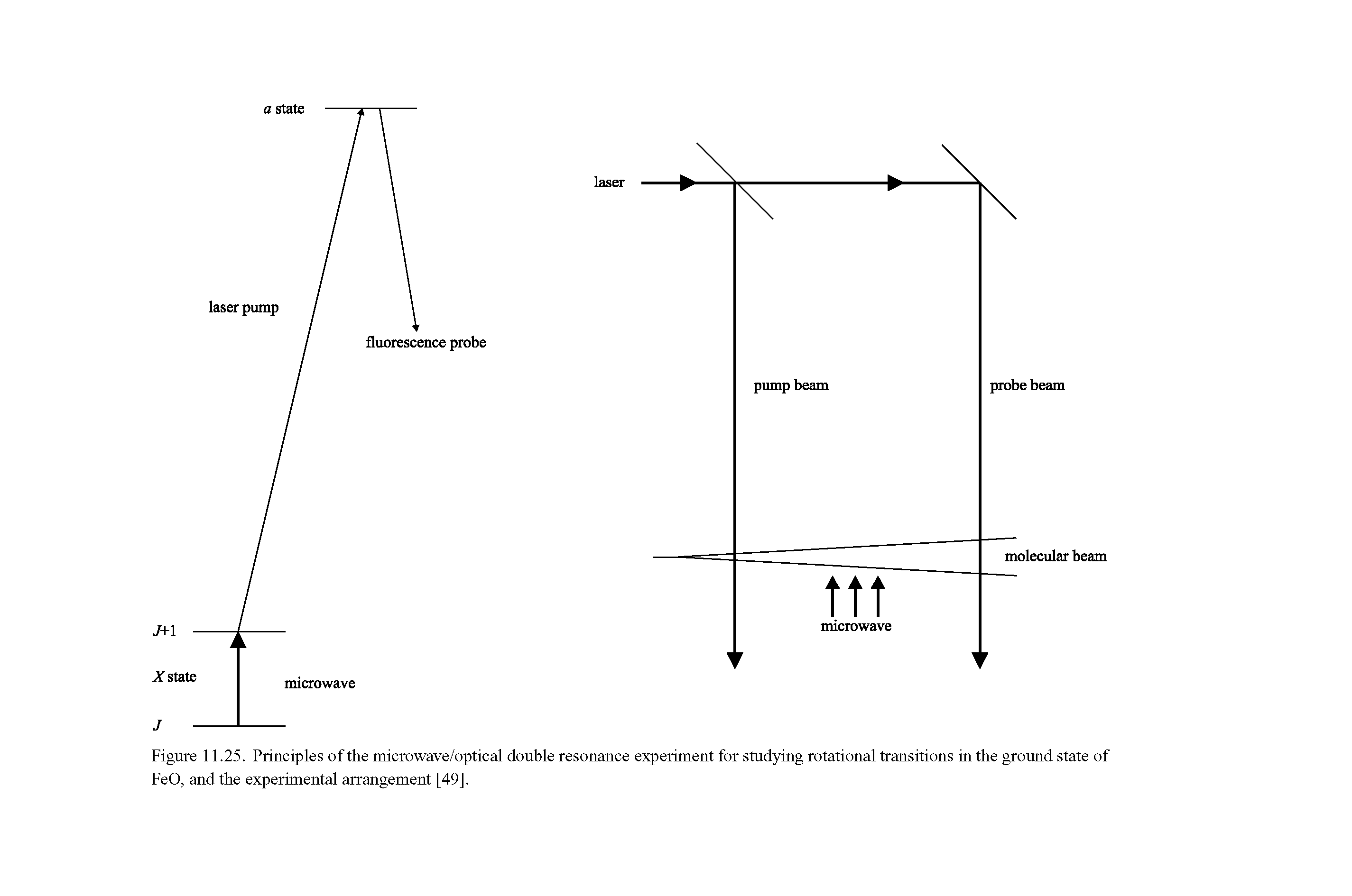Figure 11.25. Principles of the microwave/optical double resonance experiment for studying rotational transitions in the ground state of FeO, and the experimental arrangement [49].