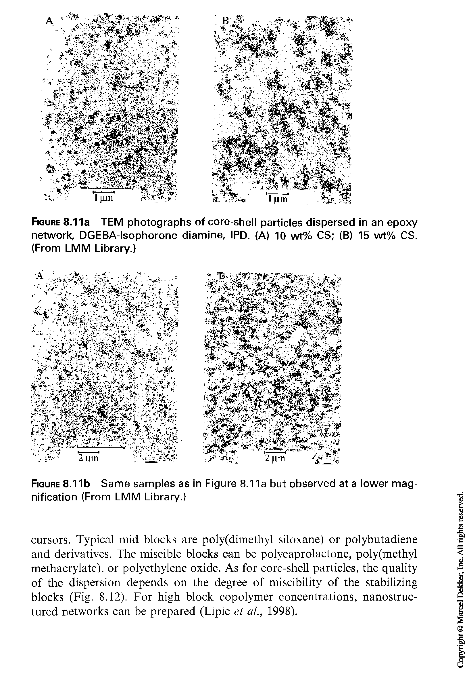 Figure 8.11a TEM photographs of core-shell particles dispersed in an epoxy network, DGEBA-lsophorone diamine, IPD. (A) 10 wt% CS (B) 15 wt% CS. (From LMM Library.)...