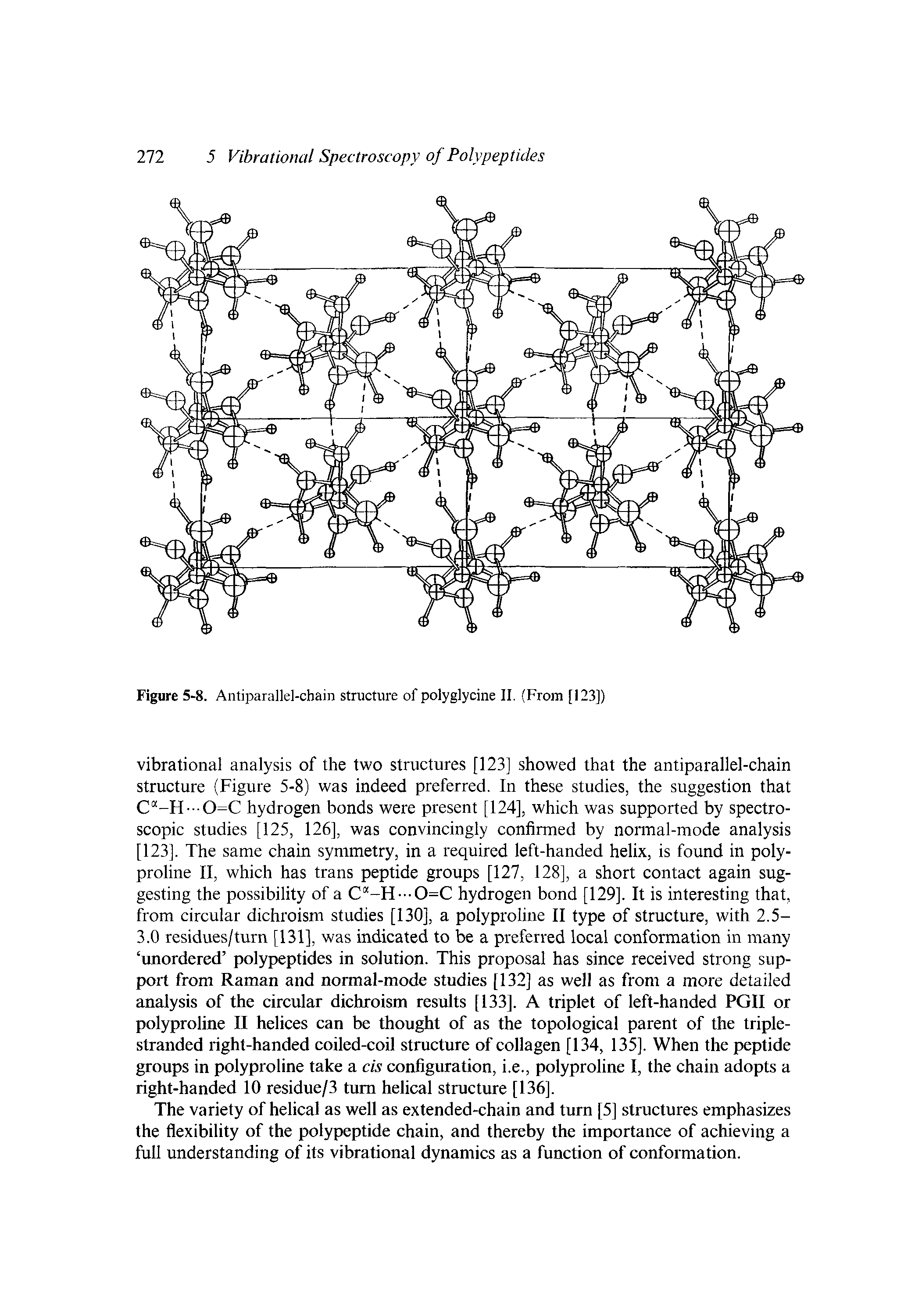 Figure 5-8. Antiparallel-chain structure of polyglycine II. (From [123])...
