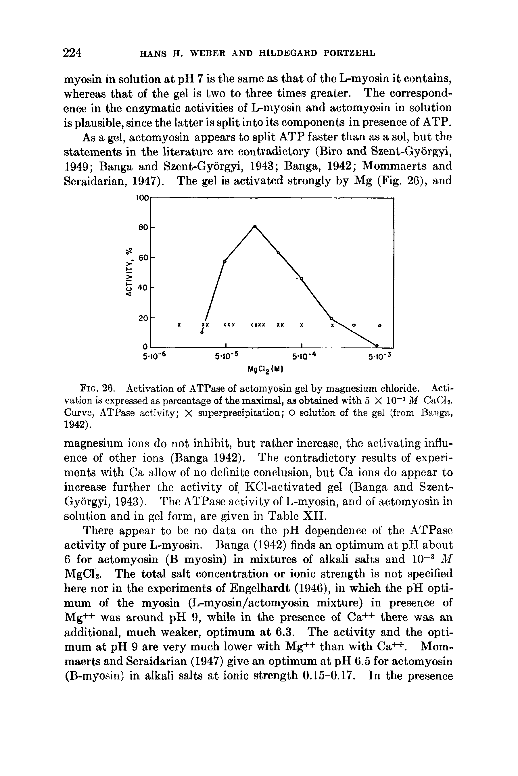Fig. 26. Activation of ATPase of actomyosin gel by magnesium chloride. Activation is expressed as percentage of the maximal, as obtained with 5 X 10 M CaCL. Curve, ATPase activity X superpreoipitation O solution of the gel (from Banga, 1942).
