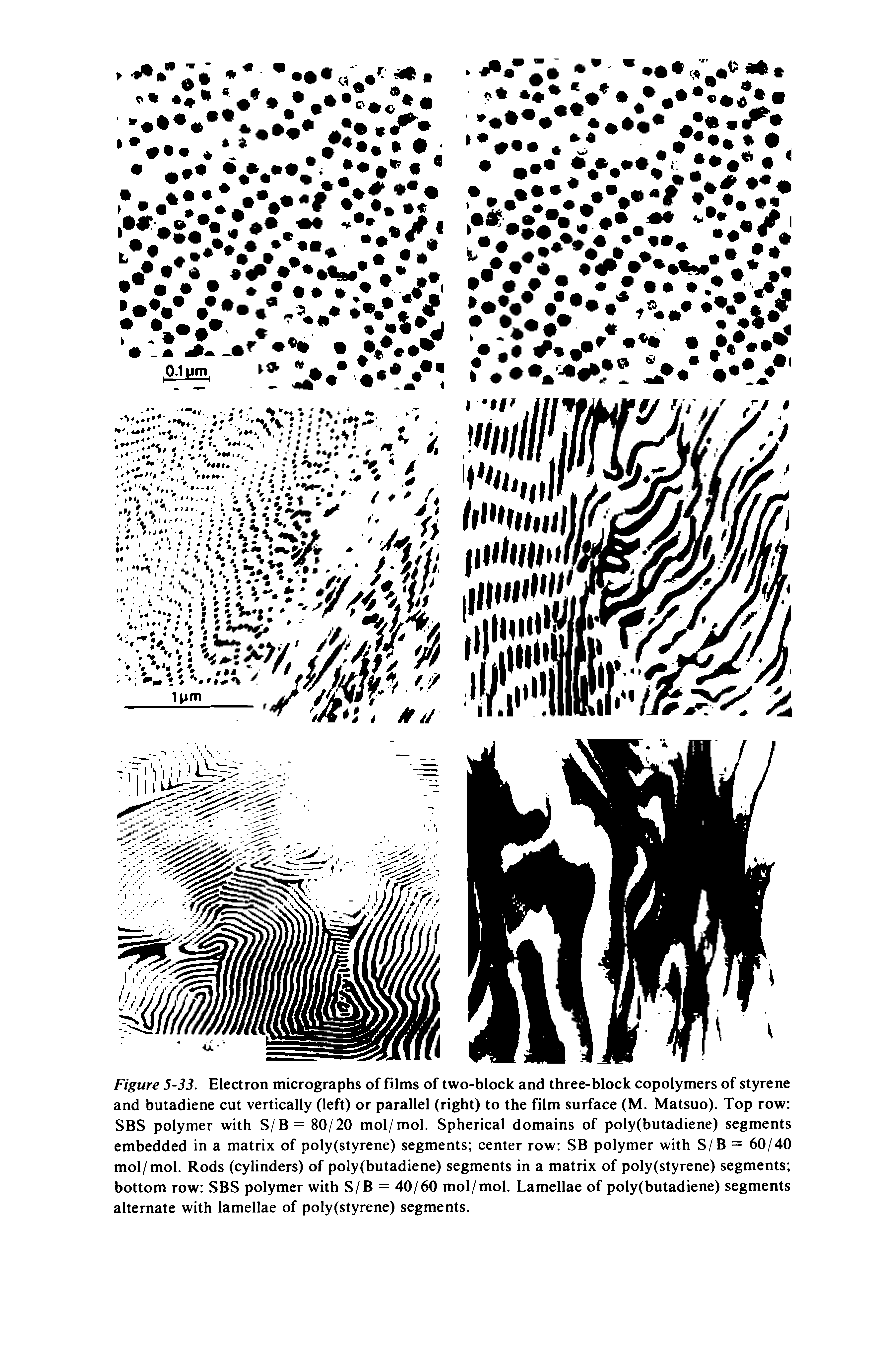 Figure 5-33. Electron micrographs of films of two-block and three-block copolymers of styrene and butadiene cut vertically (left) or parallel (right) to the film surface (M. Matsuo). Top row SBS polymer with S/B= 80/20 mol/mol. Spherical domains of poly(butadiene) segments embedded in a matrix of poly(styrene) segments center row SB polymer with S/B = 60/40 mol/mol. Rods (cylinders) of poly (butadiene) segments in a matrix of poly (styrene) segments bottom row SBS polymer with S/B = 40/60 mol/mol. Lamellae of poly(butadiene) segments alternate with lamellae of poly(styrene) segments.