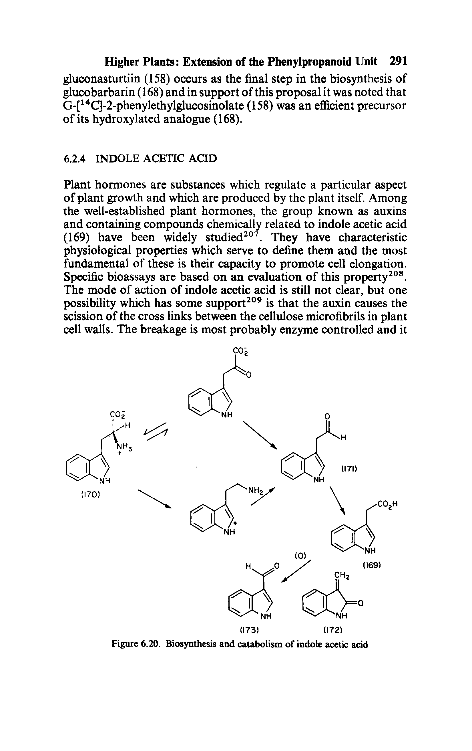 Figure 6.20. Biosynthesis and catabolism of indole acetic acid...