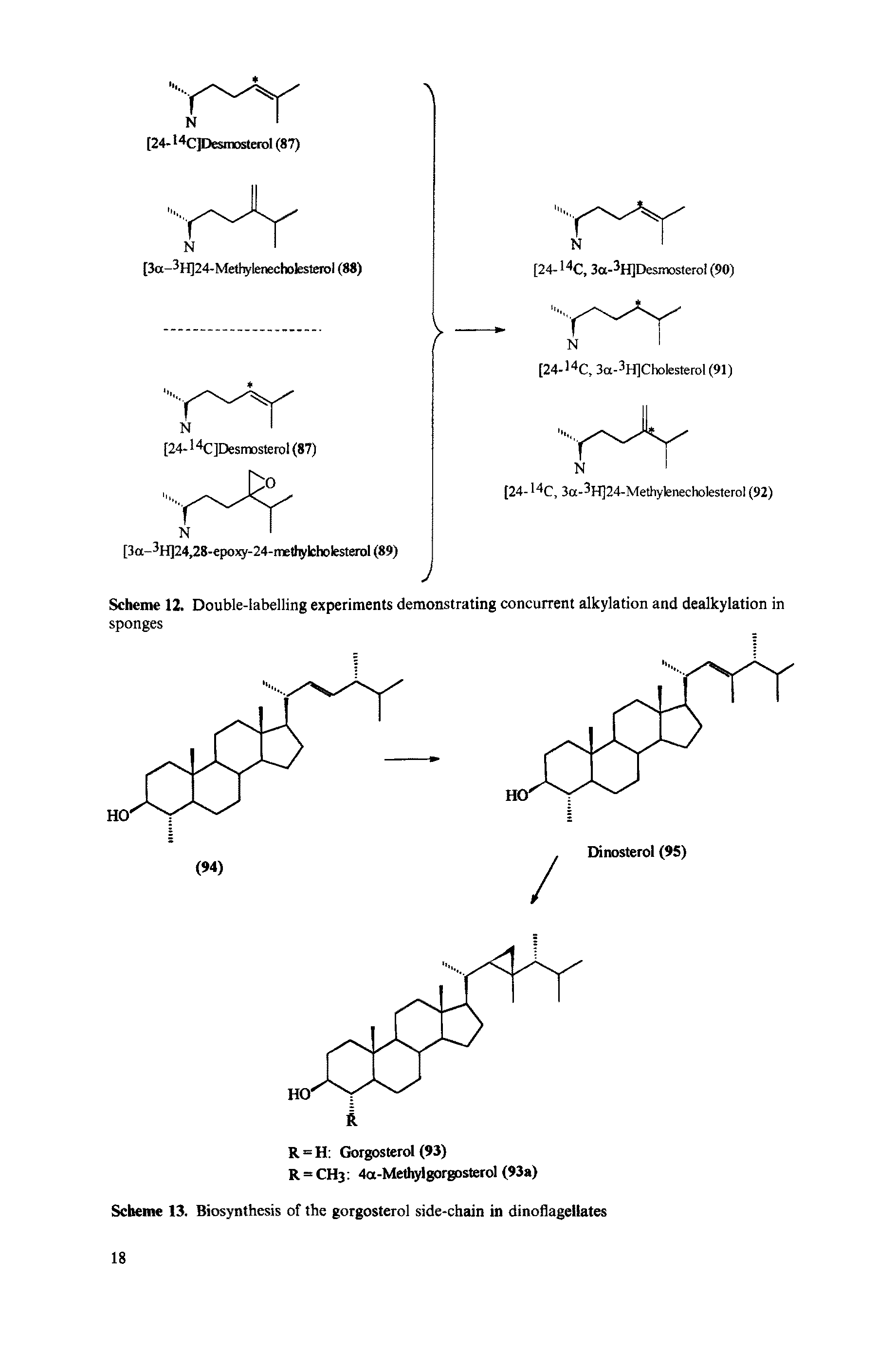 Scheme 12. Double-labelling experiments demonstrating concurrent alkylation and dealkylation in...