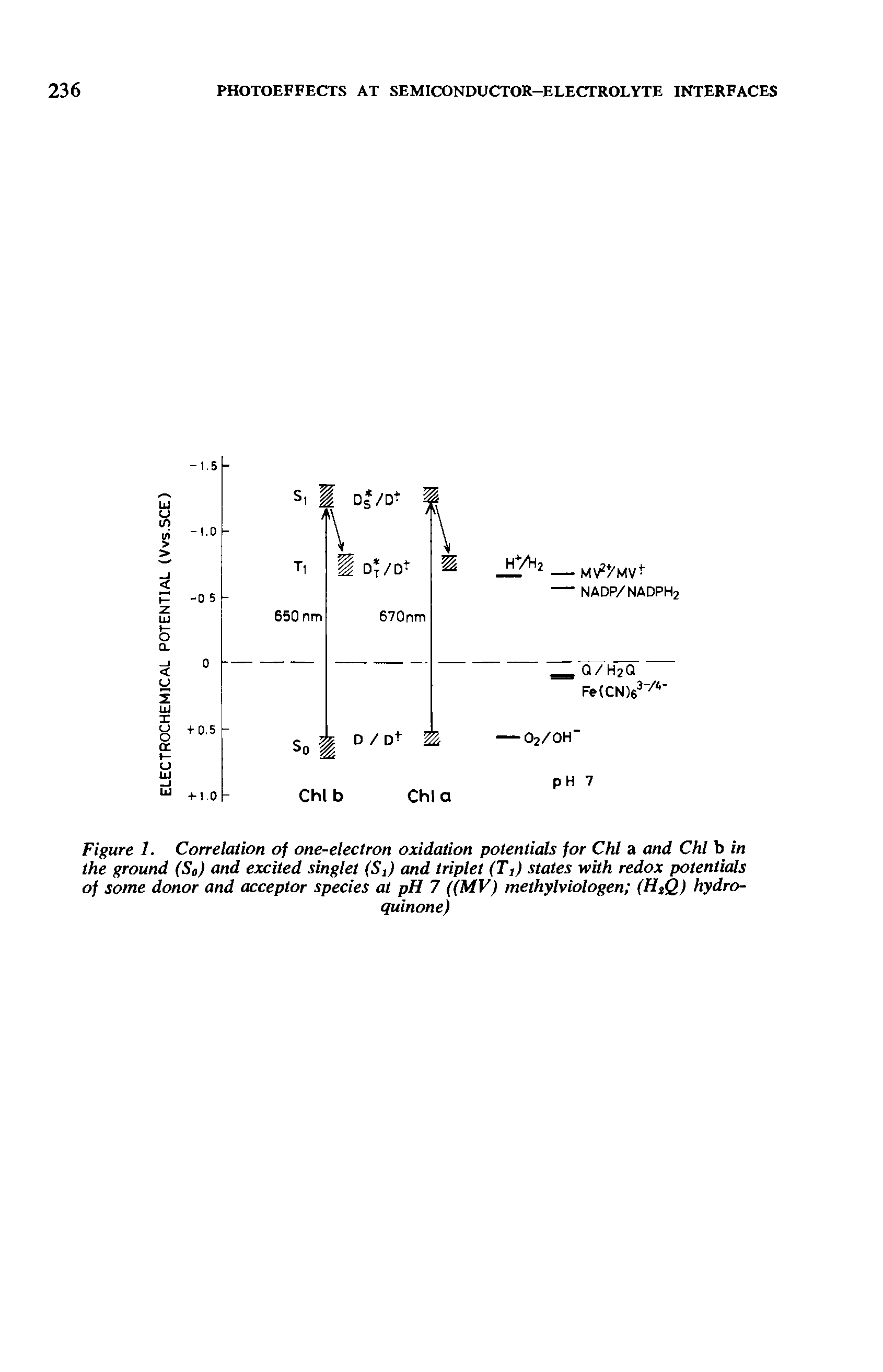 Figure 1. Correlation of one-electron oxidation potentials for Chl a and Chl b in the ground (So) and excited singlet (S,) and triplet (T,) states with redox potentials of some donor and acceptor species at pH 7 ((MV) methylviologen (H%Q) hydro-...