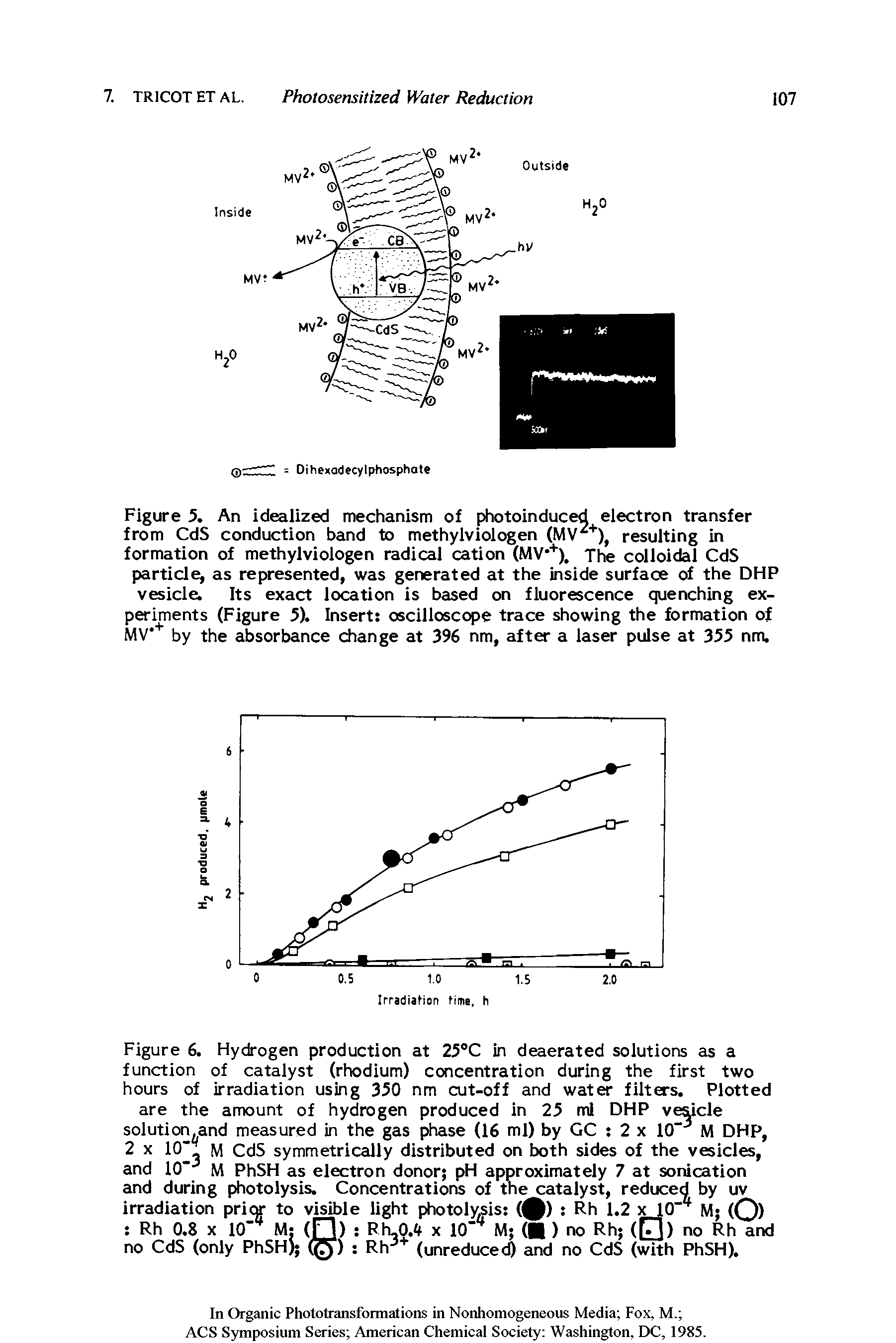 Figure 6. Hydrogen production at 25°C in deaerated solutions as a function of catalyst (rhodium) concentration during the first two hours of irradiation using 350 nm cut-off and water filters. Plotted are the amount of hydrogen produced in 25 ml DHP vesicle solution.and measured in the gas phase (16 ml) by GC s 2 x 10- J M DHP, 2 x 10 M CdS symmetrically distributed on both sides of the vesicles, and 10 J M PhSH as electron donor pH approximately 7 at sonication and during photolysis. Concentrations of the catalyst, reduced by uv irradiation prior to visible light photolysis ( - Dl 1 ° ...