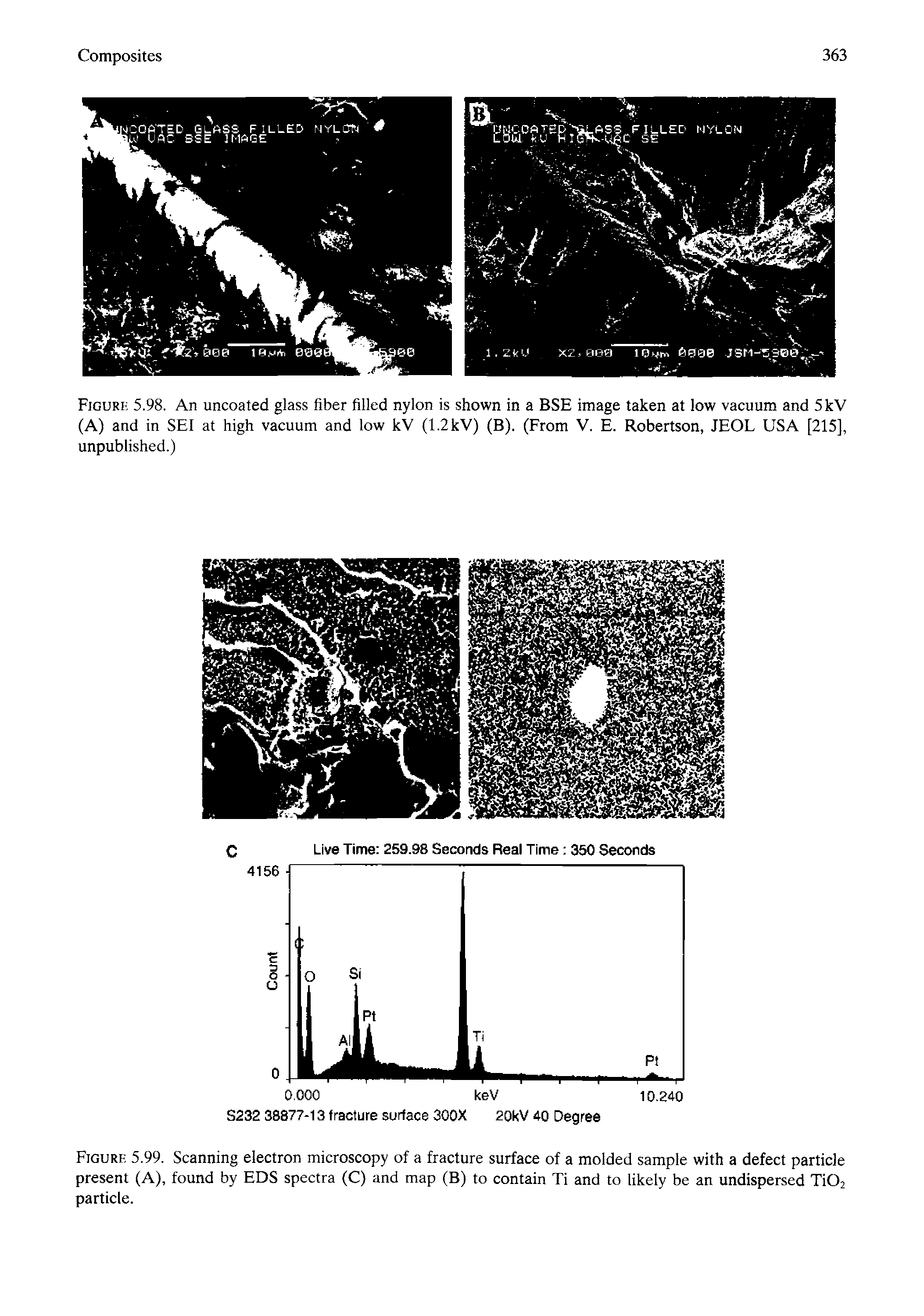 Figuri 5.98. An uncoated glass fiber filled nylon is shown in a BSE image taken at low vacuum and 5kV (A) and in SEI at high vacuum and low kV (1.2kV) (B). (From V. E. Robertson, JEOL USA [215], unpublished.)...