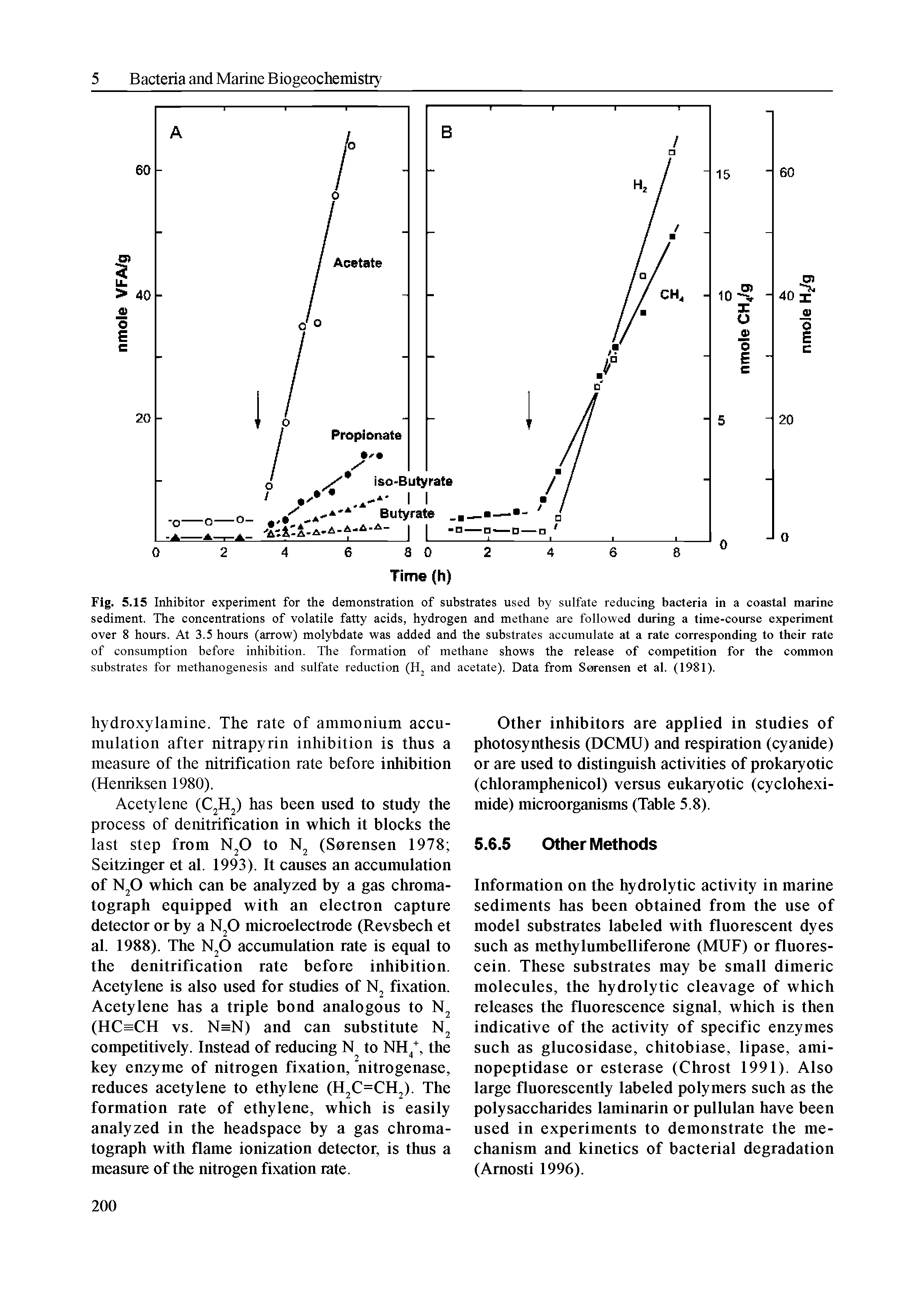 Fig. 5.15 Inhibitor experiment for the demonstration of substrates used by sulfate reducing bacteria in a coastal marine sediment. The concentrations of volatile fatty acids, hydrogen and methane are followed during a time-course experiment over 8 hours. At 3.5 hours (arrow) molybdate was added and the substrates accumulate at a rate corresponding to their rate of consumption before inhibition. The formation of methane shows the release of competition for the common substrates for methanogenesis and sulfate reduction (H and acetate). Data from Sorensen et al. (1981).