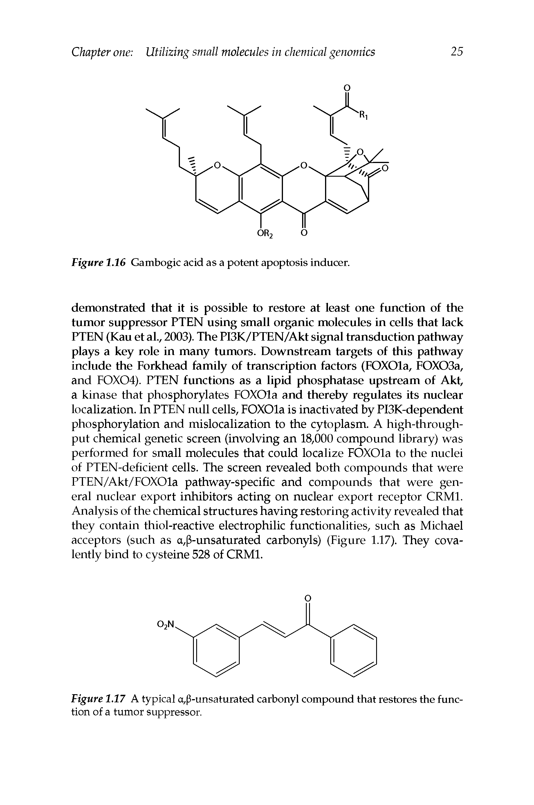 Figure 1.16 Gambogic acid as a potent apoptosis inducer.
