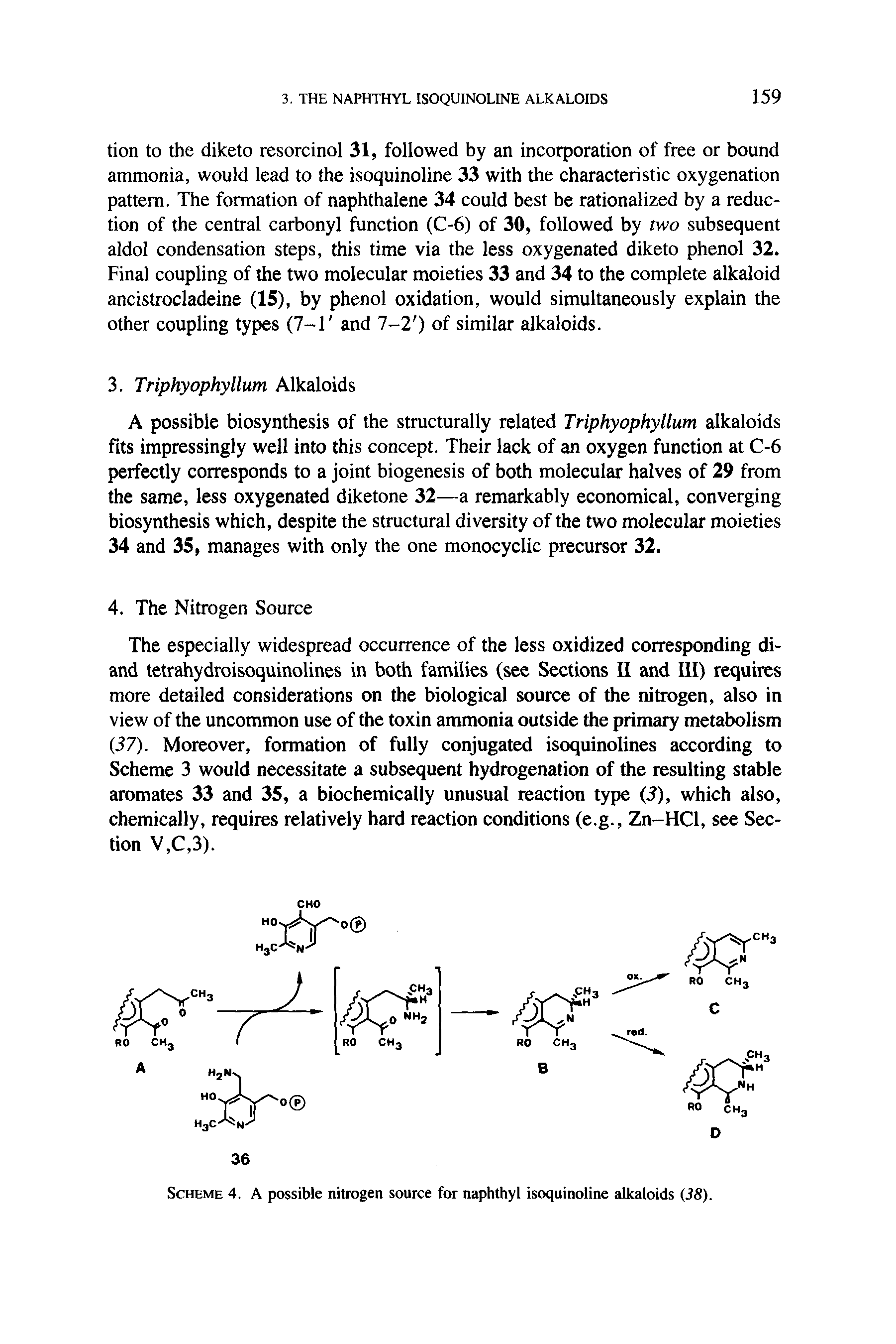 Scheme 4. A possible nitrogen source for naphthyl isoquinoline alkaloids 38).
